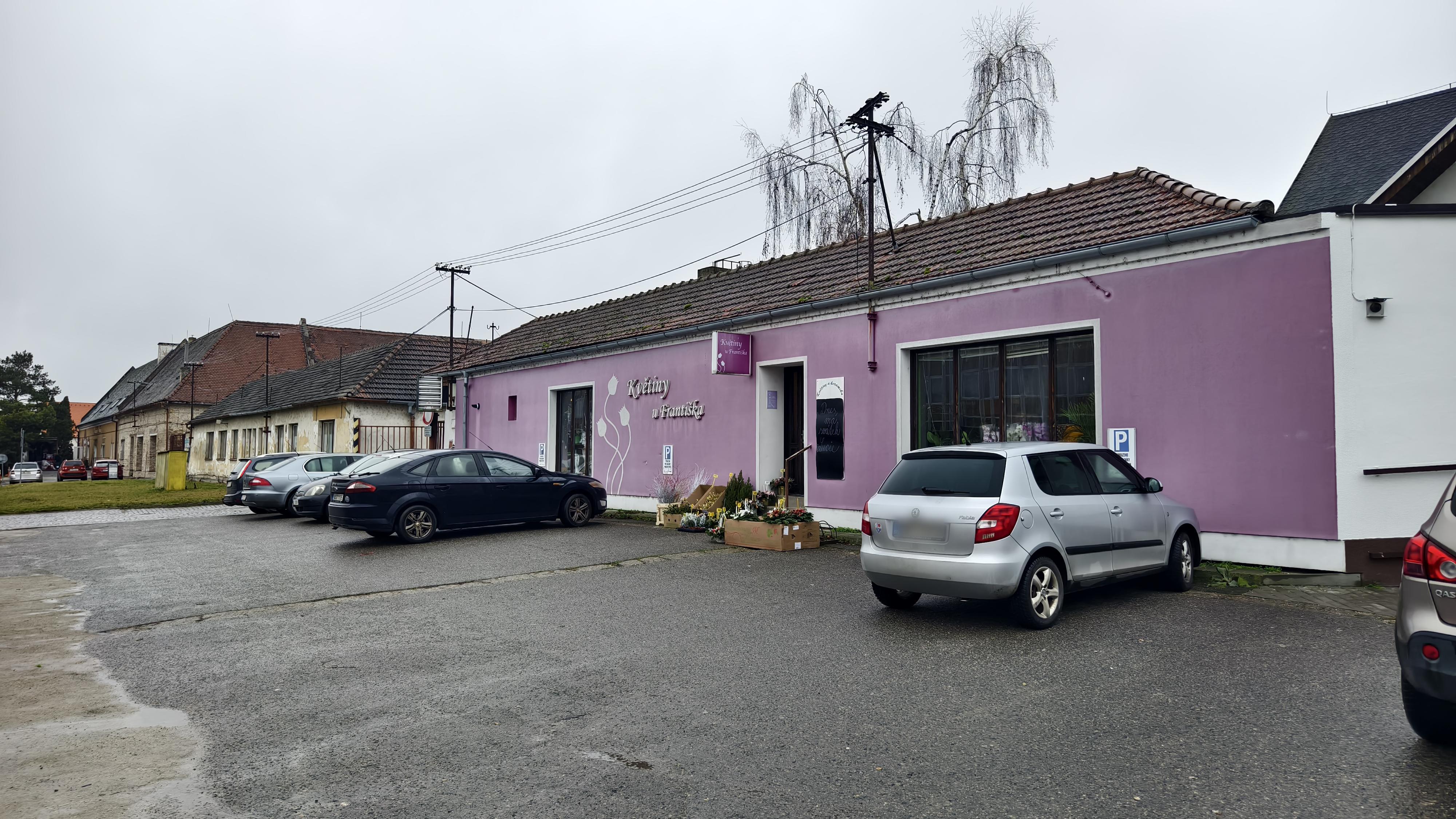 Květiny a keramika František Popelka