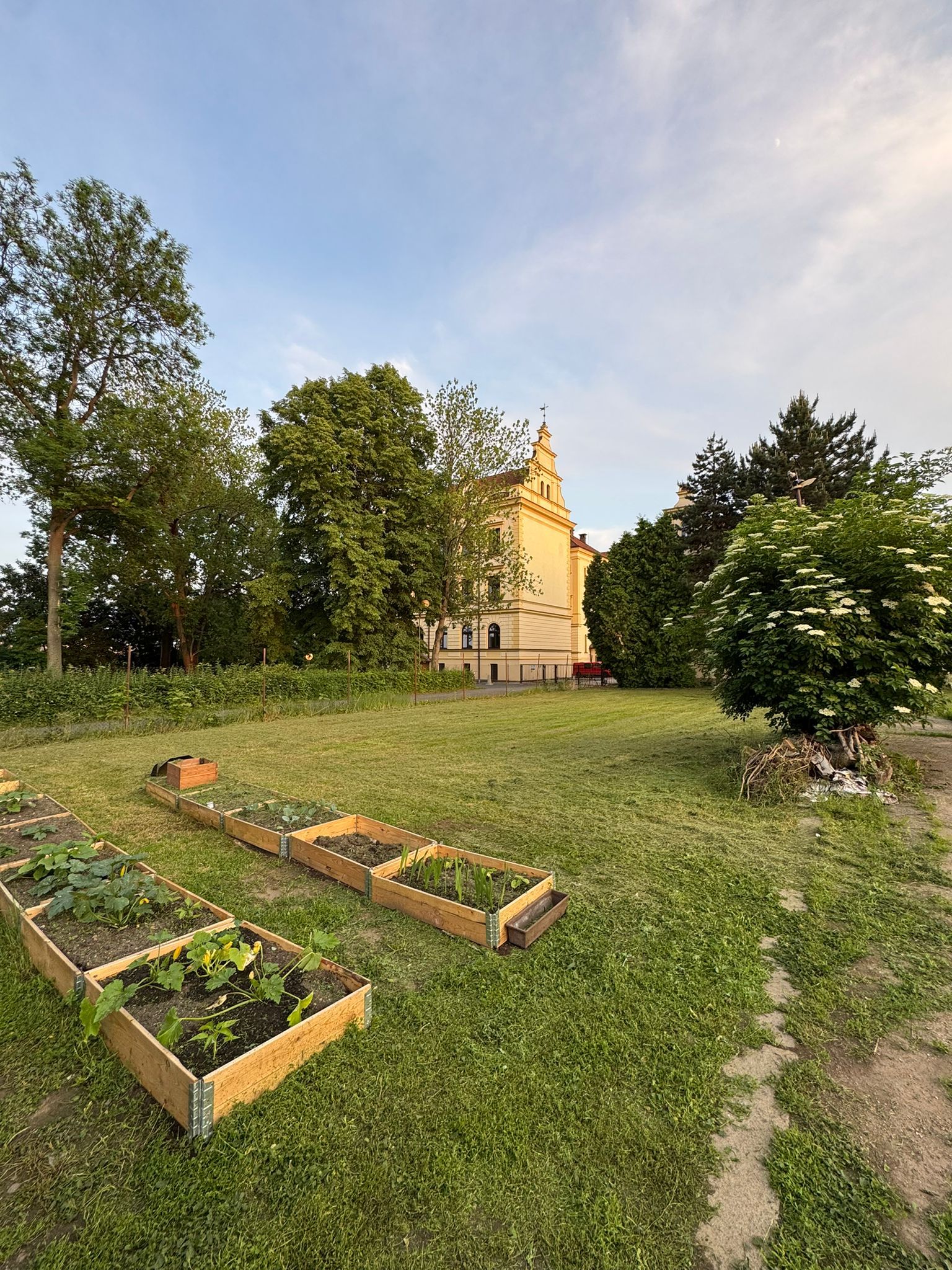 Zahrada ve městě - komunitní zahrada foto 3