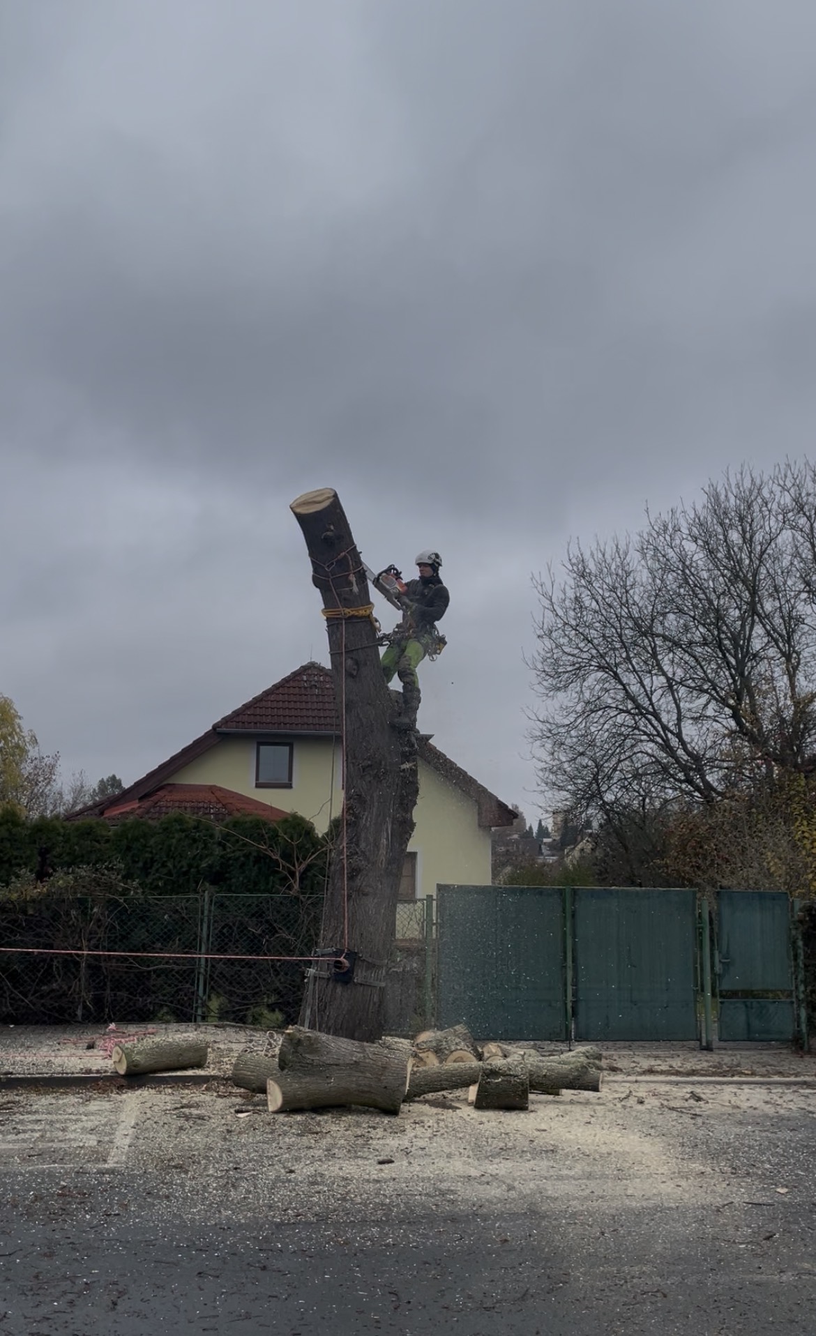 Rizikové kácení & výškové práce Dušek foto 3