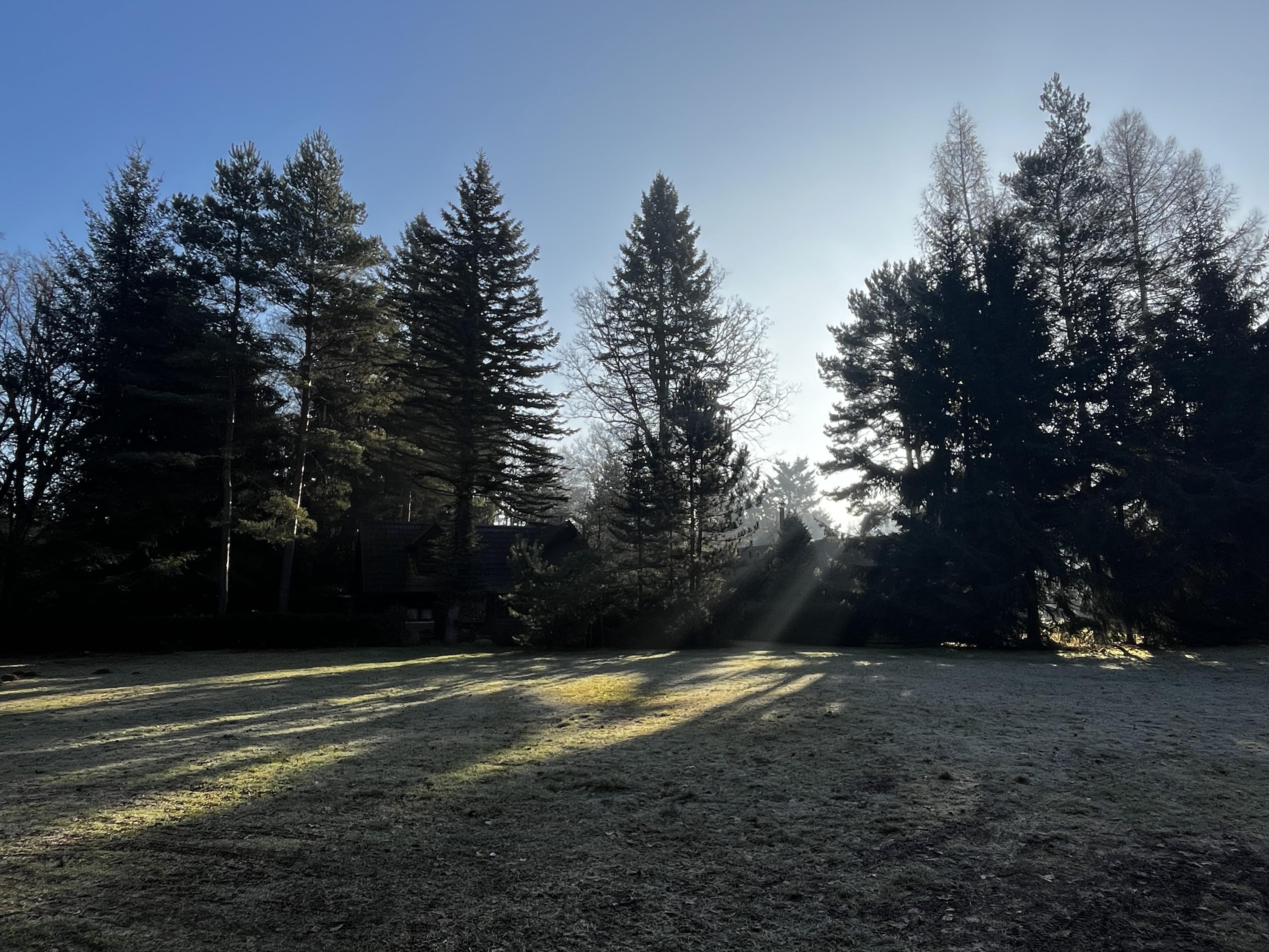 Trampská osada ALBATROS, z.s. foto 4