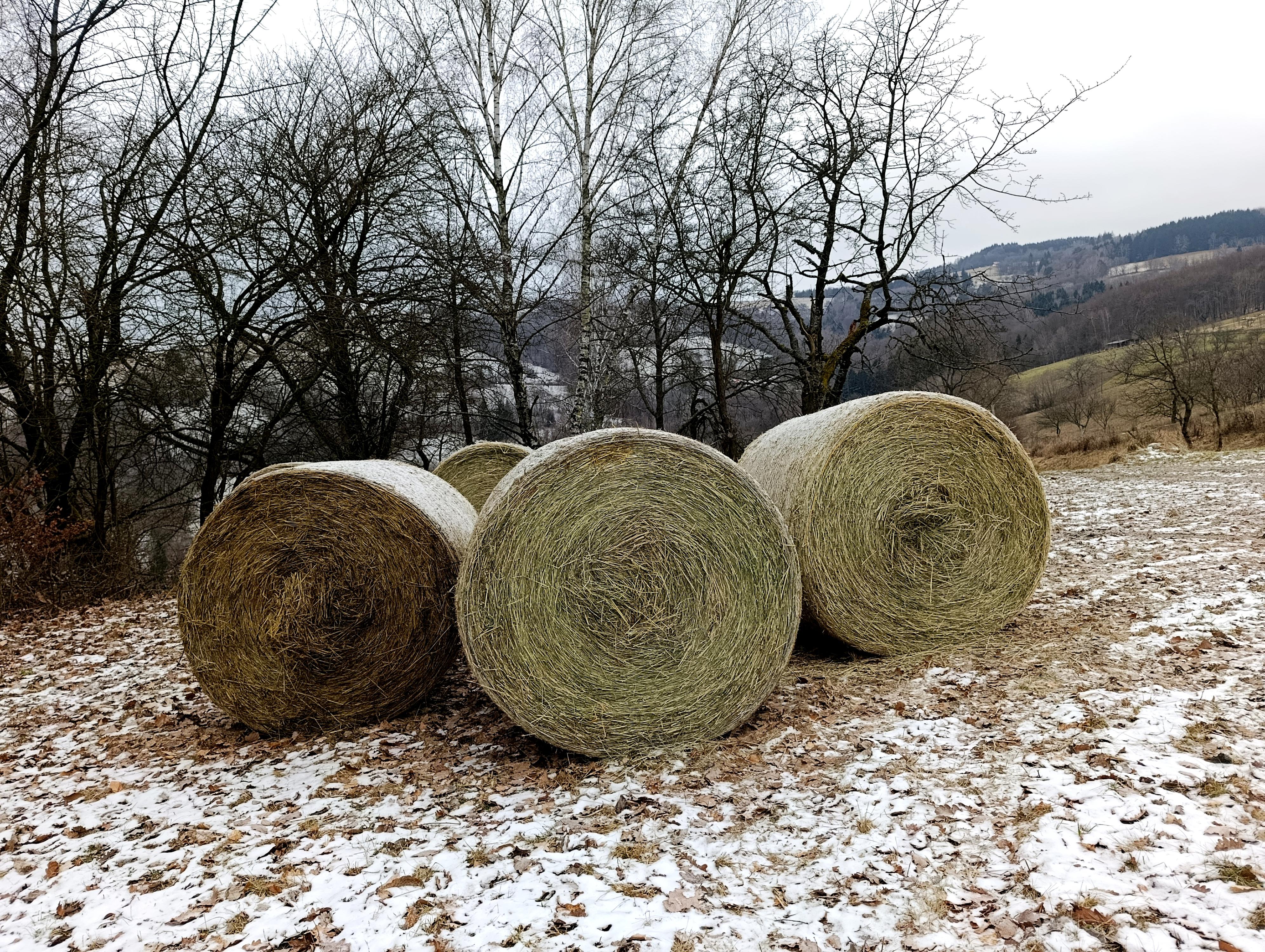 Odpočívadlo u Hajtmanů foto 6