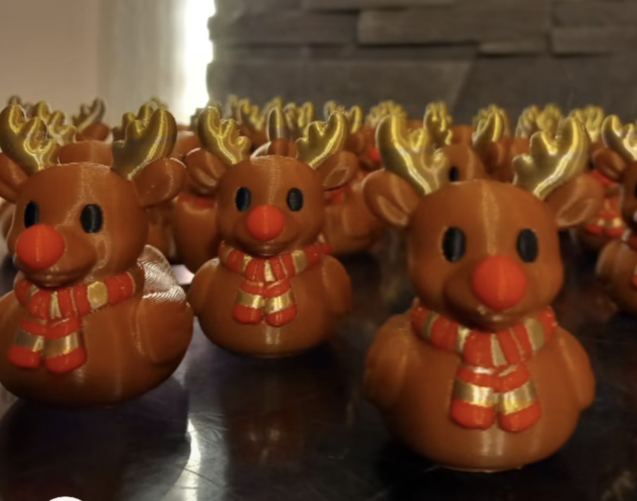 Rudolf 3D Print Works foto 5