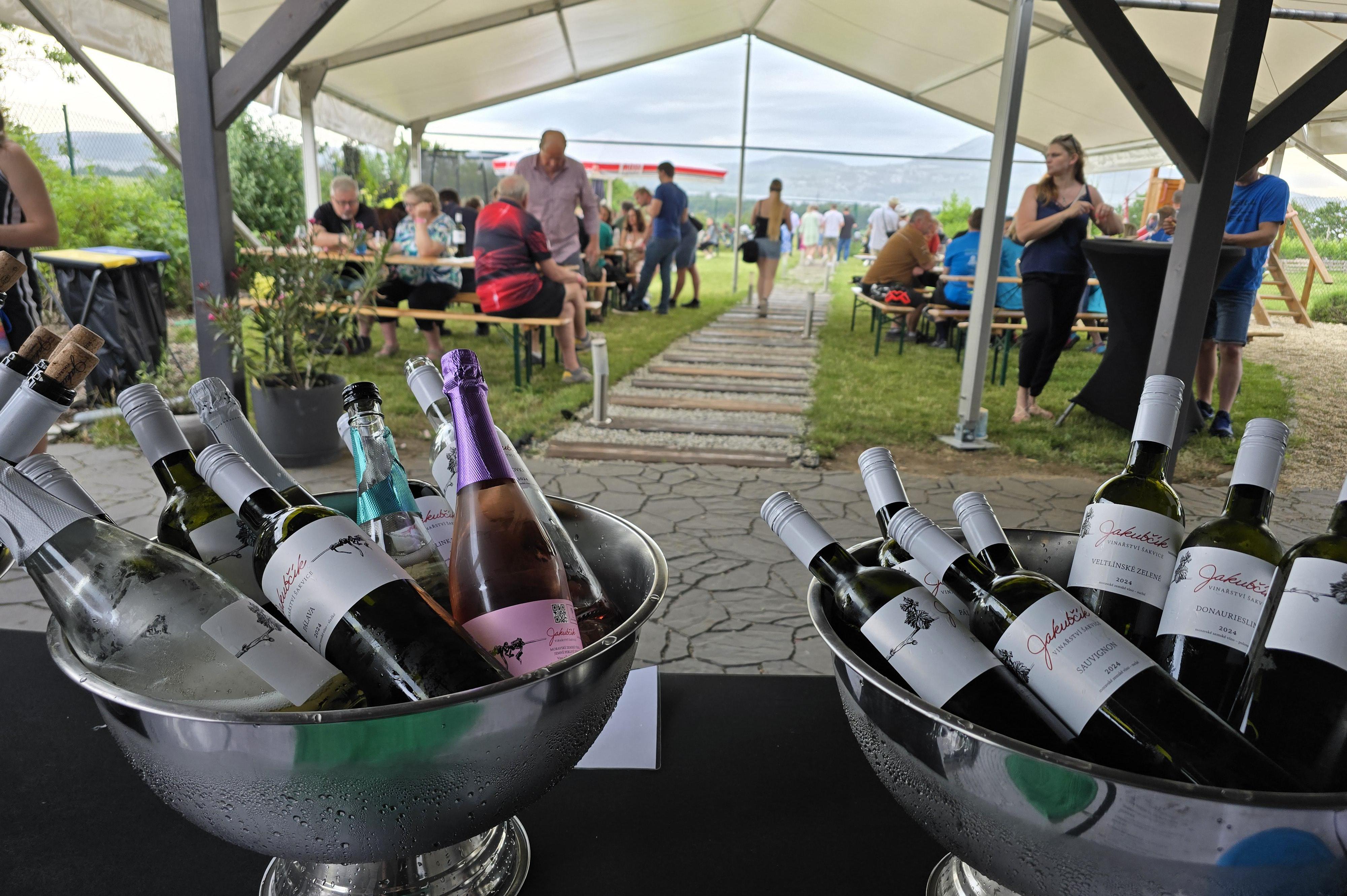 Vinařství Jakubčík Šakvice