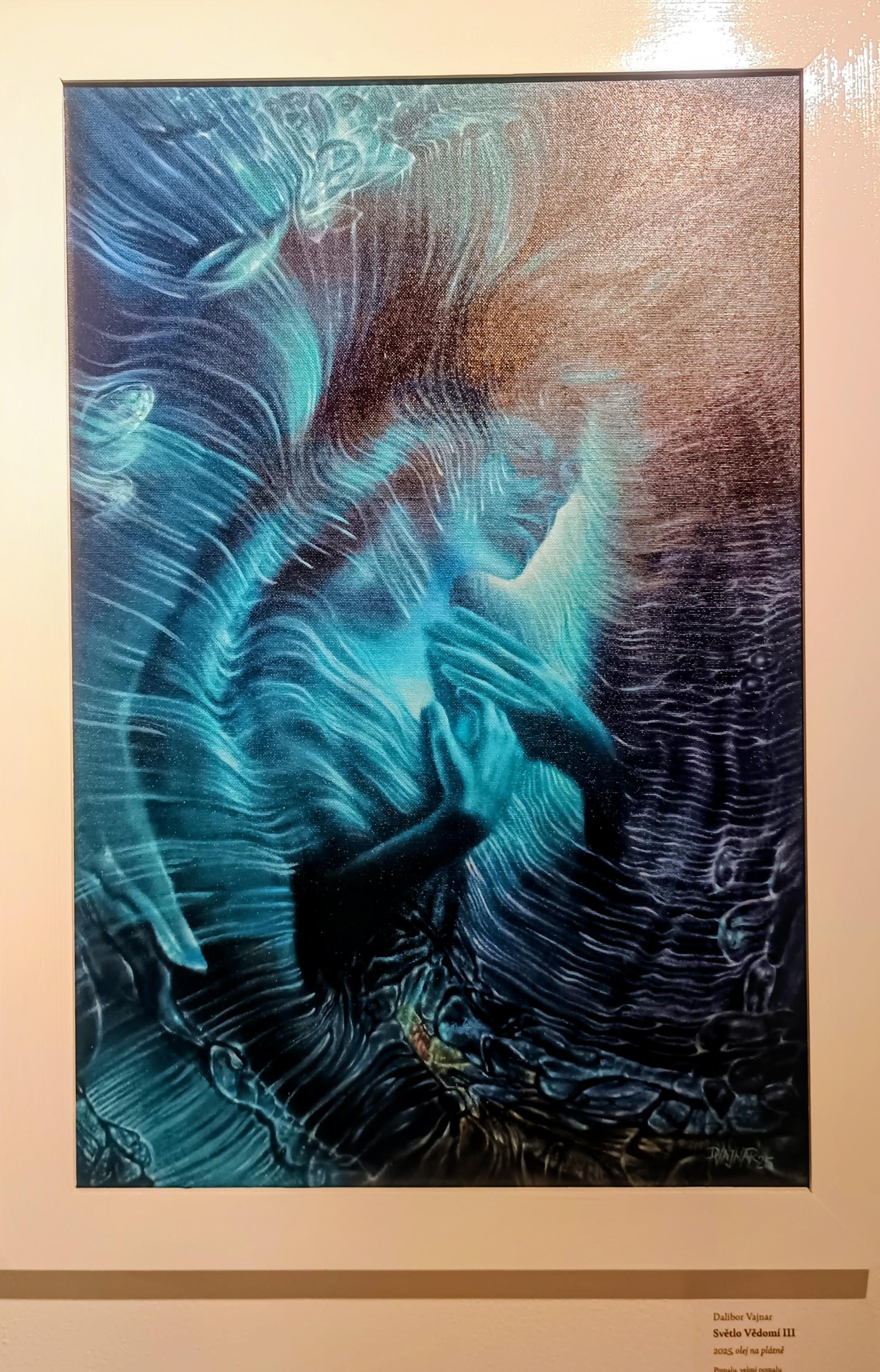 Galerie Josefa Lieslera foto 2
