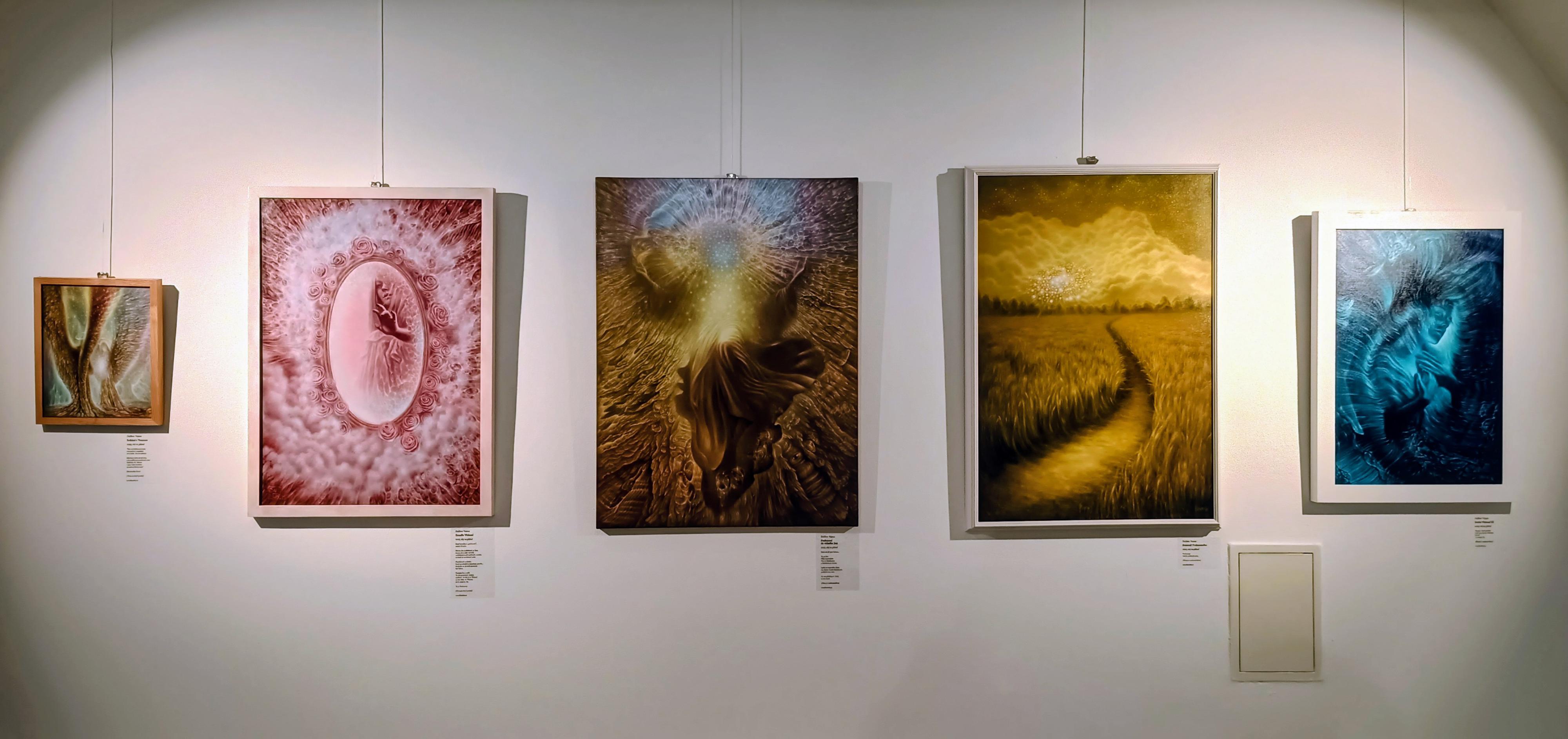 Galerie Josefa Lieslera foto 4