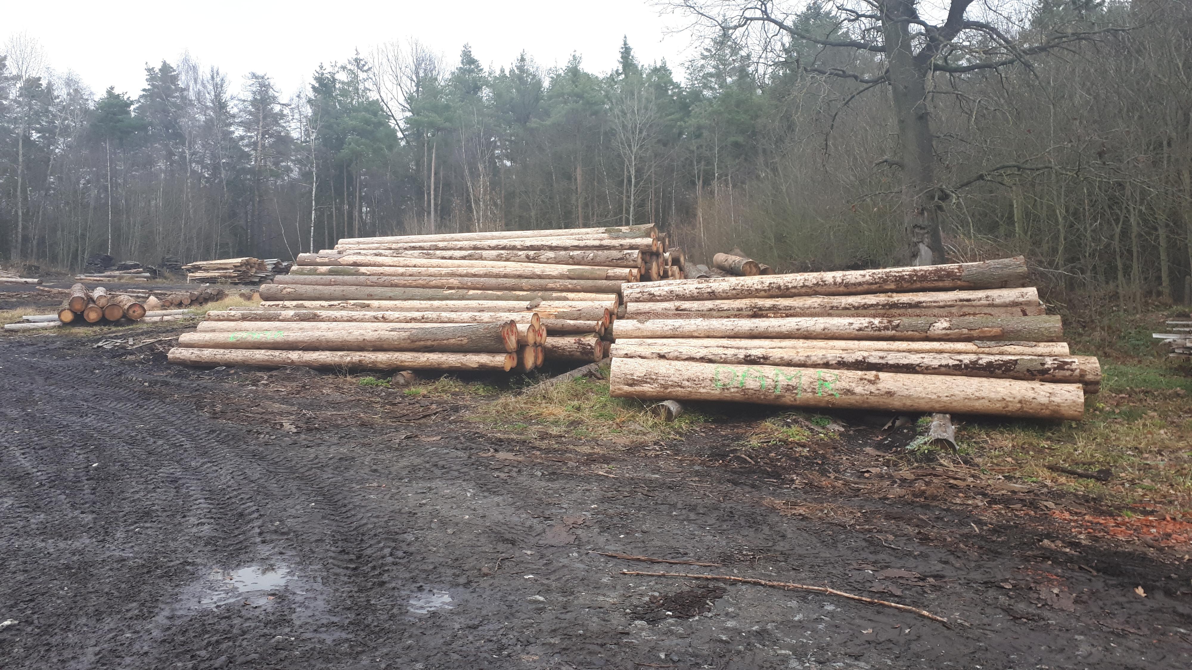 Wood & Parket system foto 4