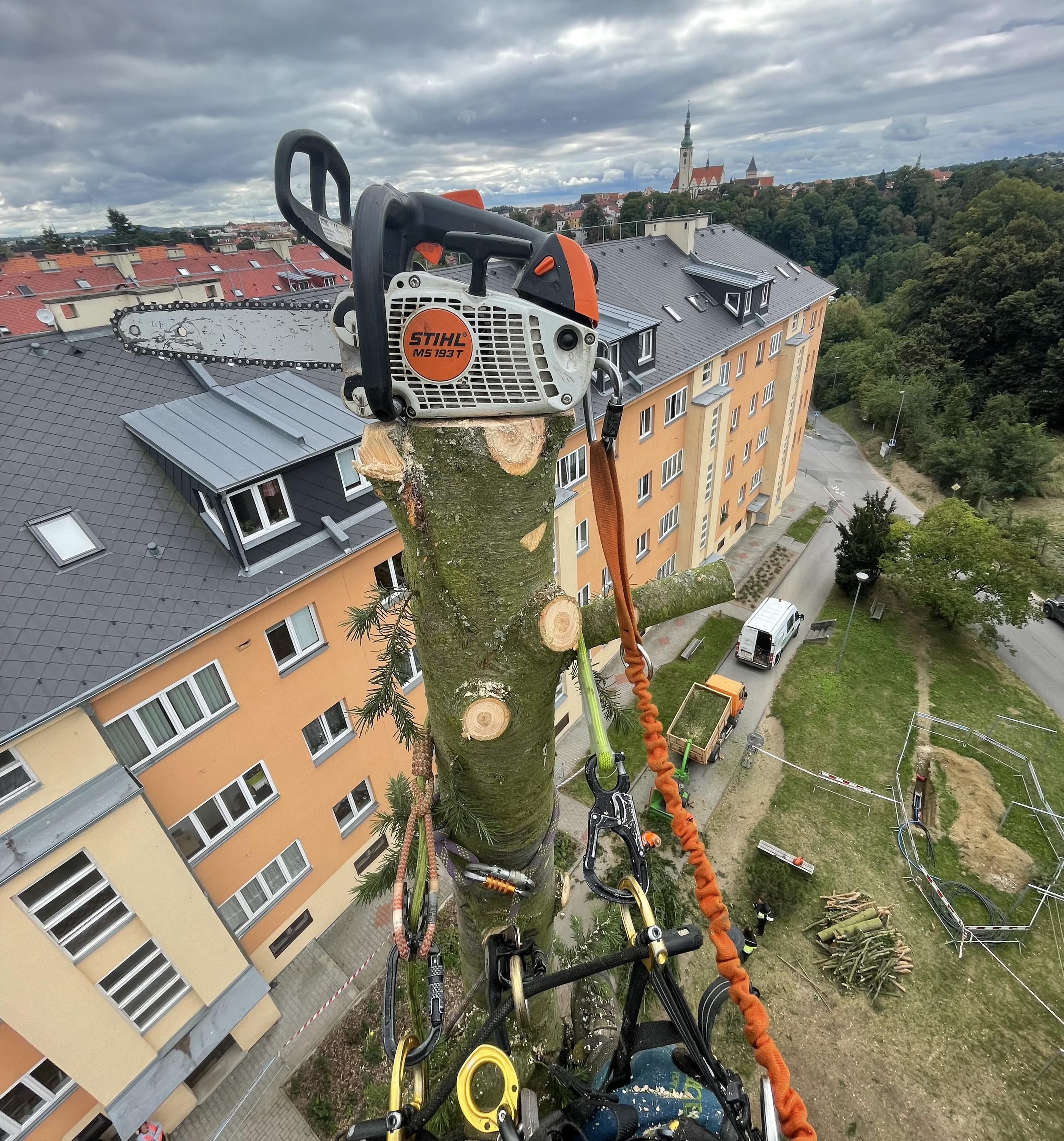 Rizikové kácení & výškové práce Dušek foto 4