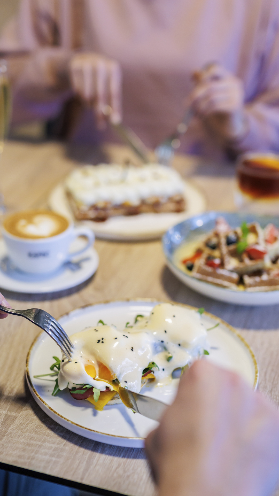 Agentura Žijeme Gastrem s.r.o. foto 3
