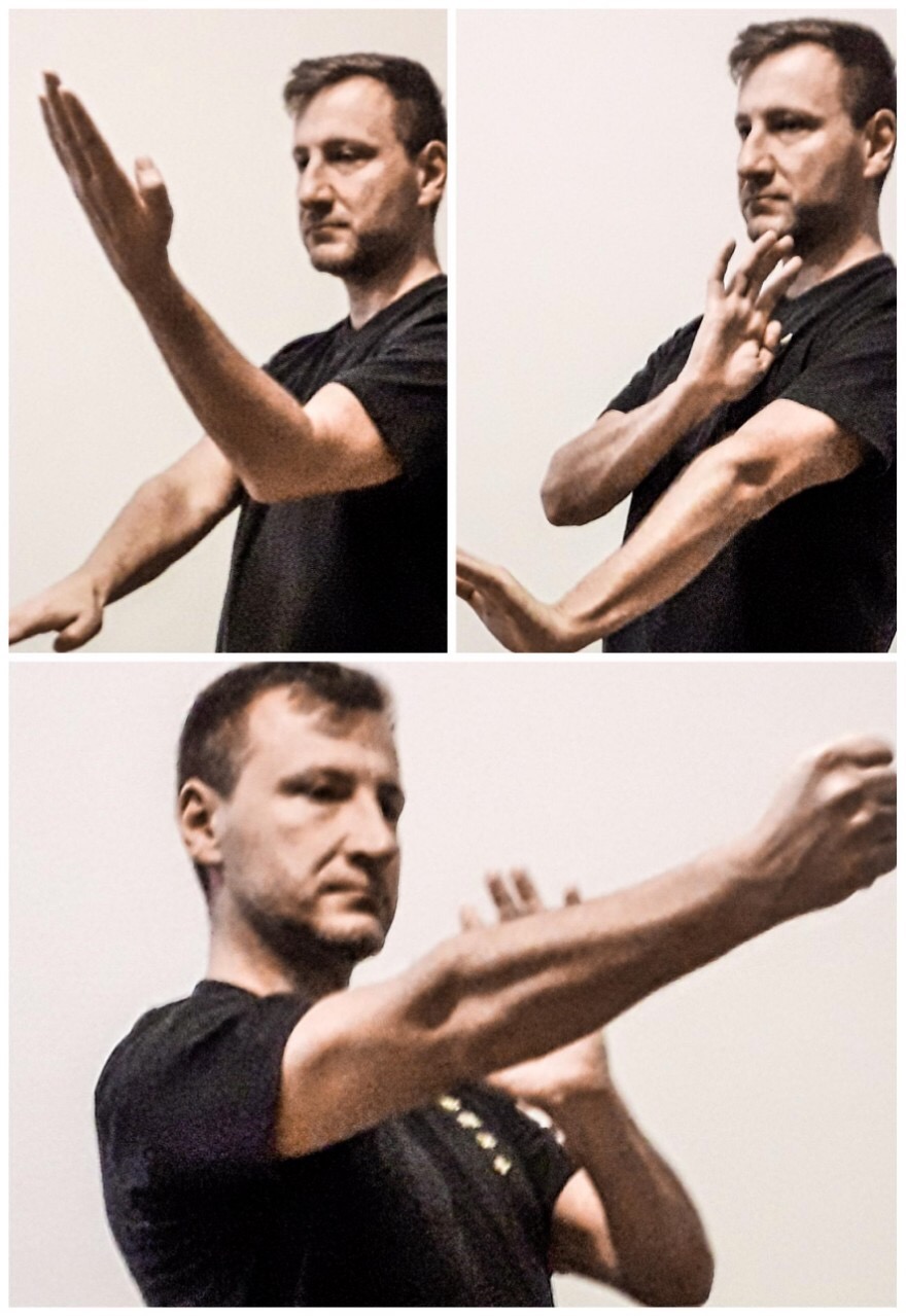 Wing Chun Akademie foto 4