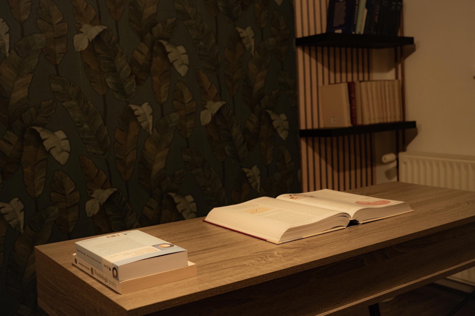 Láďa Dvořák - Terapeutické poradenství foto 3