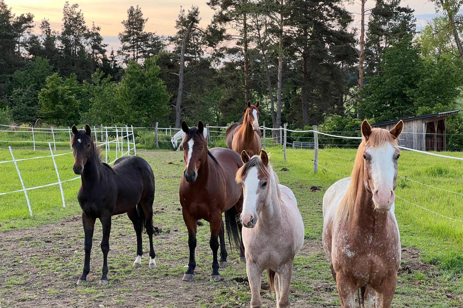 Ranch Krušina