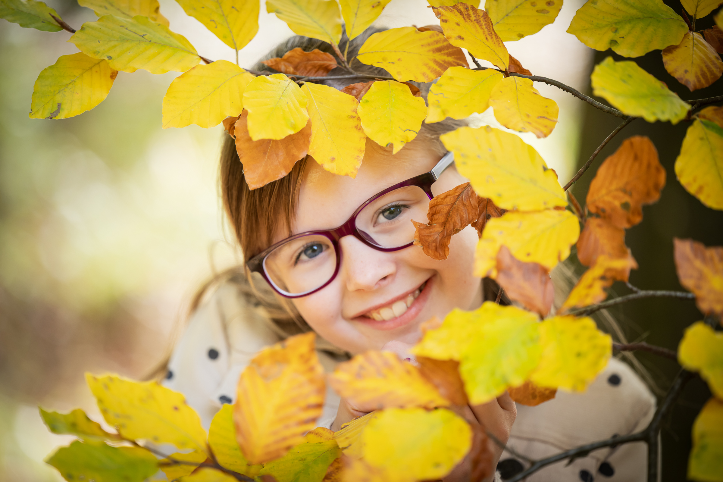 Jaroslav Fikota - fotocomplete foto 2