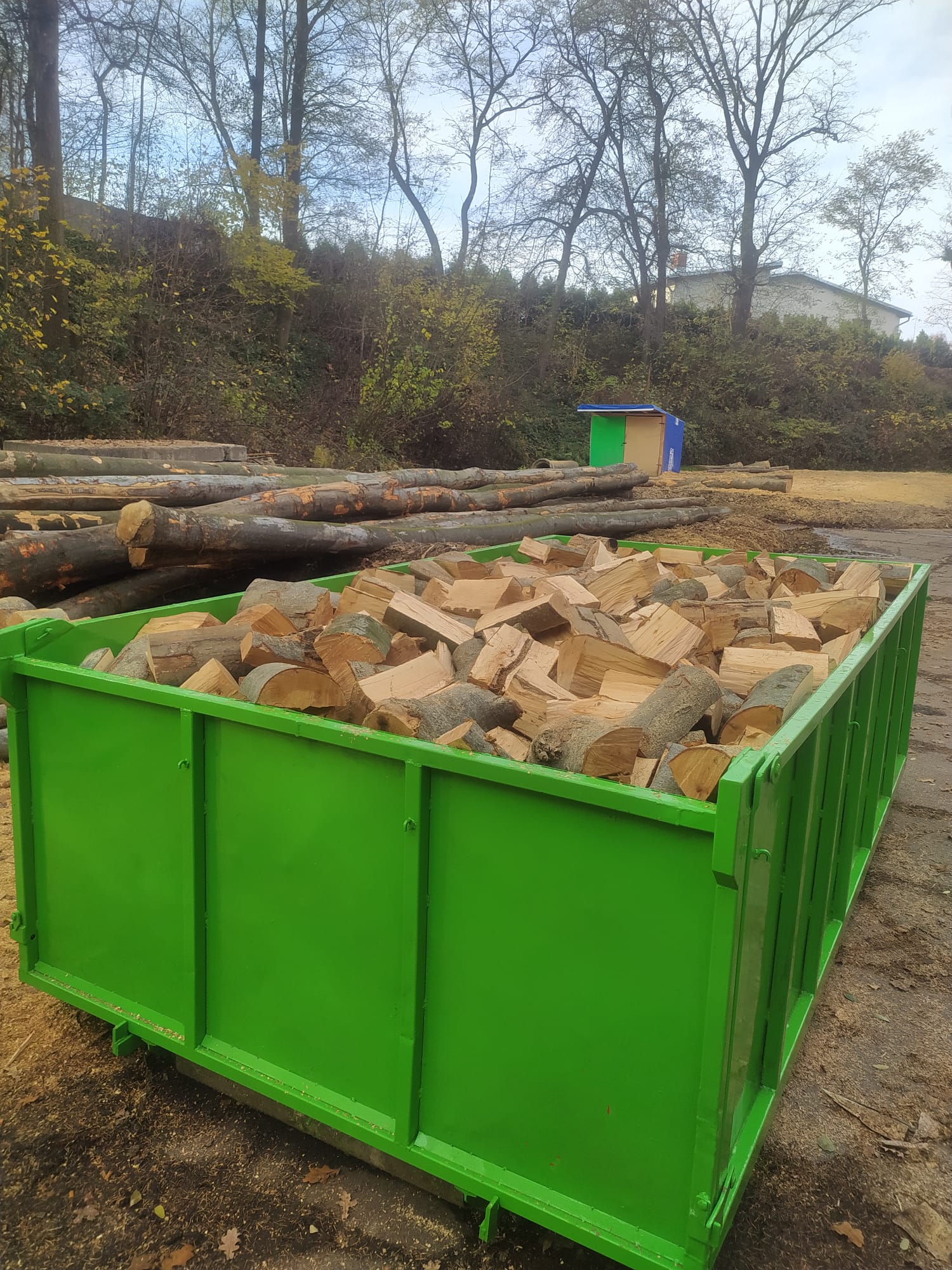 Dřevo v kontejneru foto 4