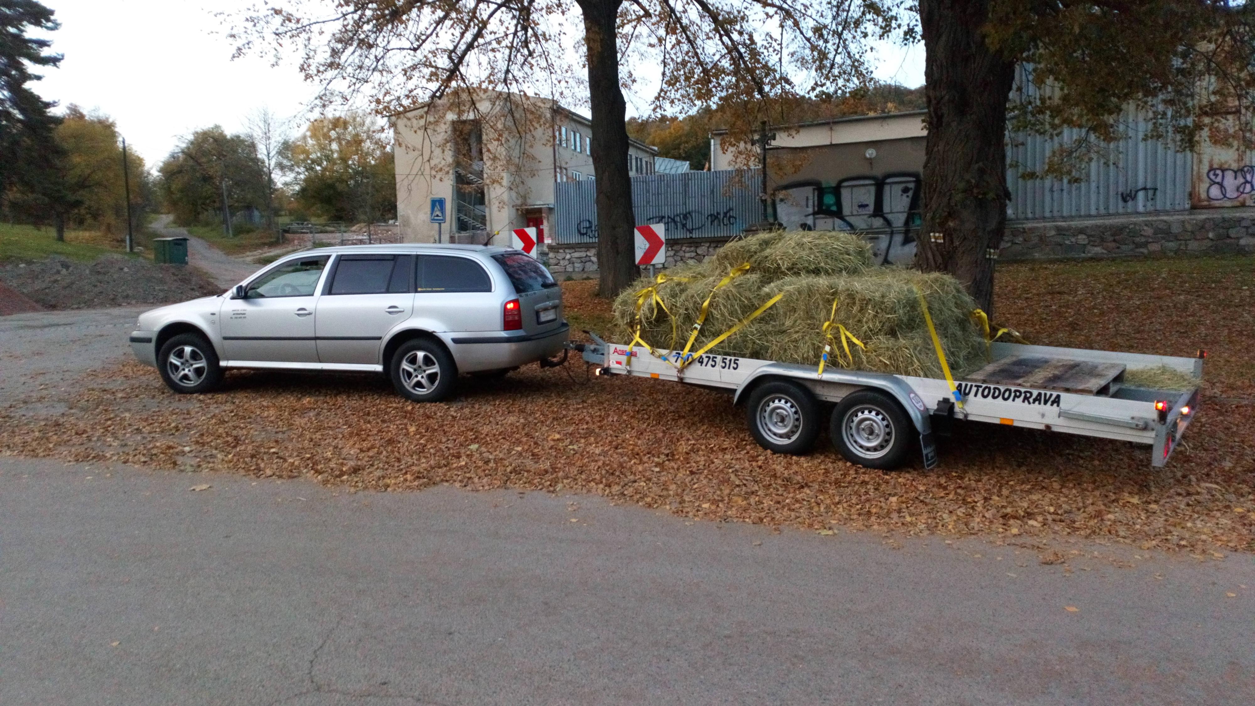 Martin Vitula - Autodoprava foto 4