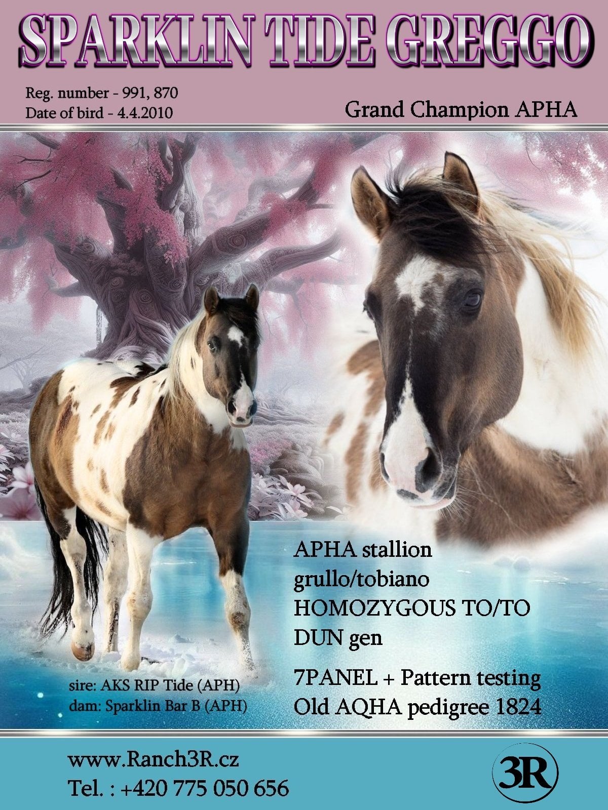 Ranch 3R - Bueno Cherokee s.r.o. foto 2