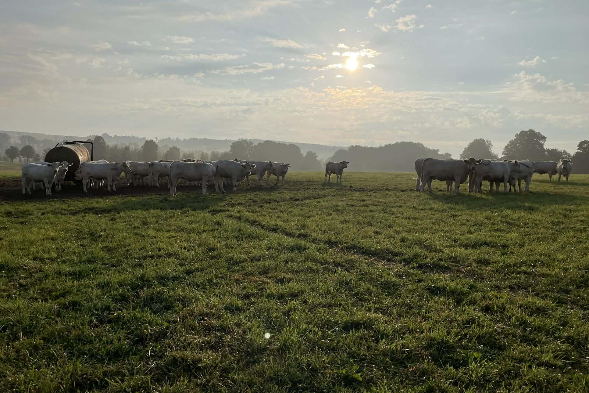 DORO spol. s r.o. Rokytnice v Orl. horách