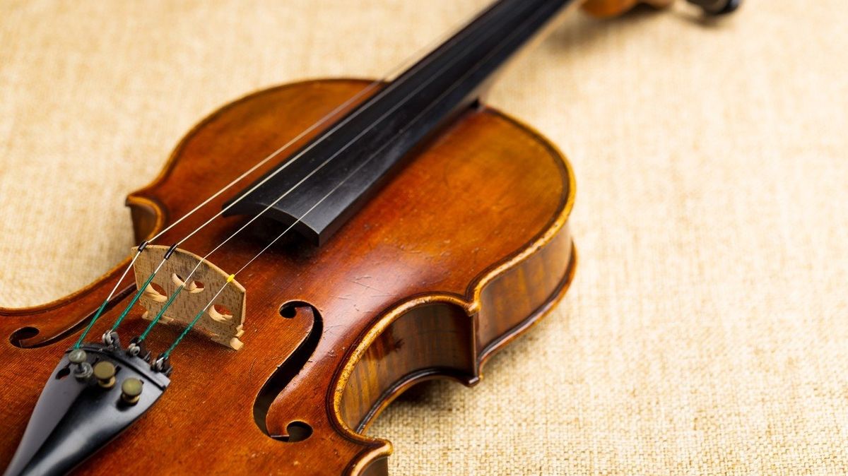 Individuální kurz hry na housle