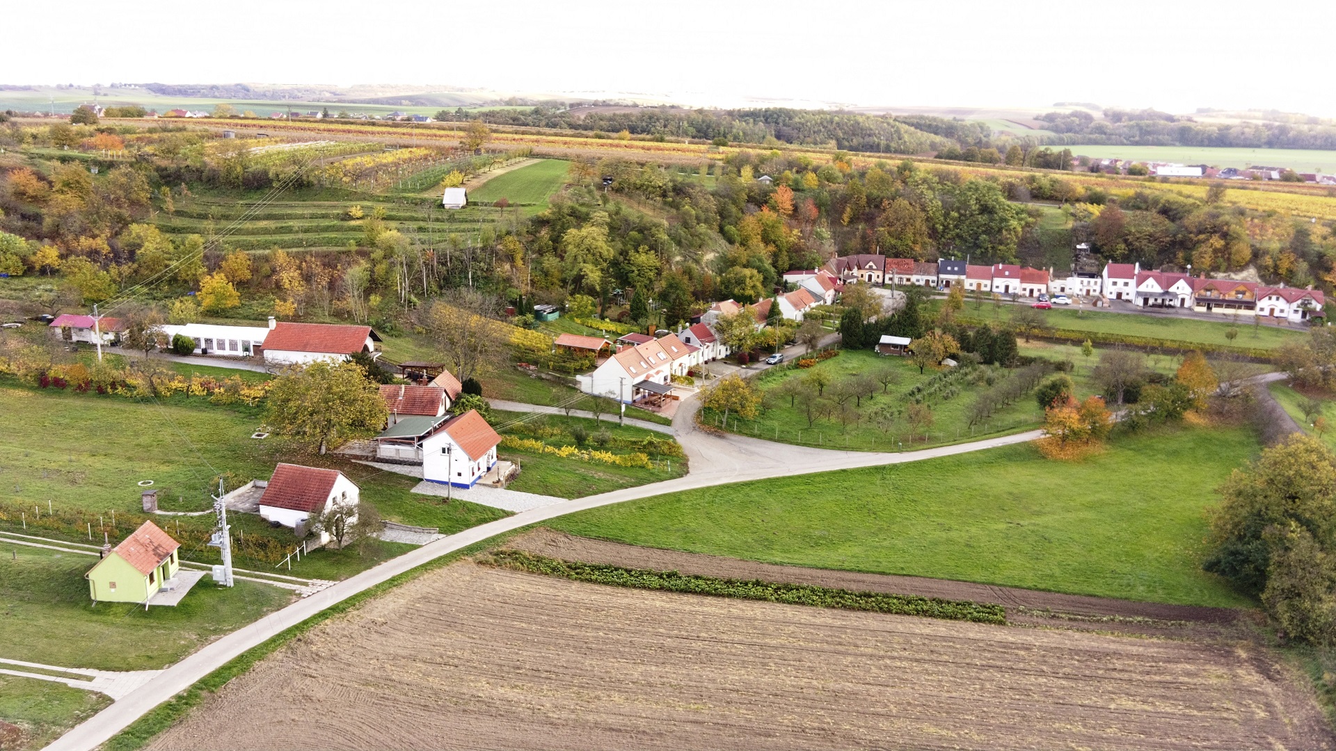 Vinný sklep U Hroznu foto 2