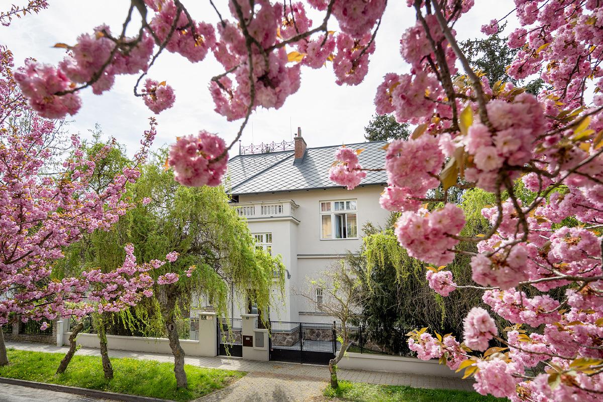 Svoboda & Williams Brno