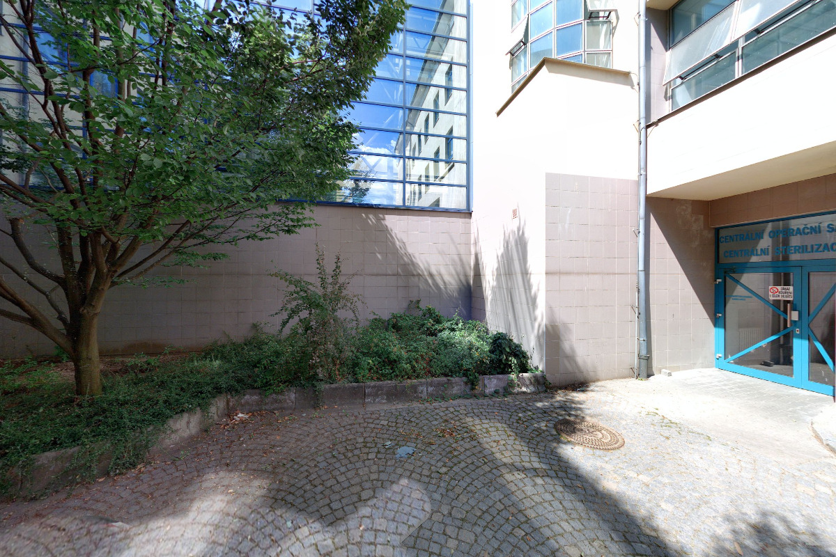 Kýlní poradna - Nemocnice Nové Město na Moravě