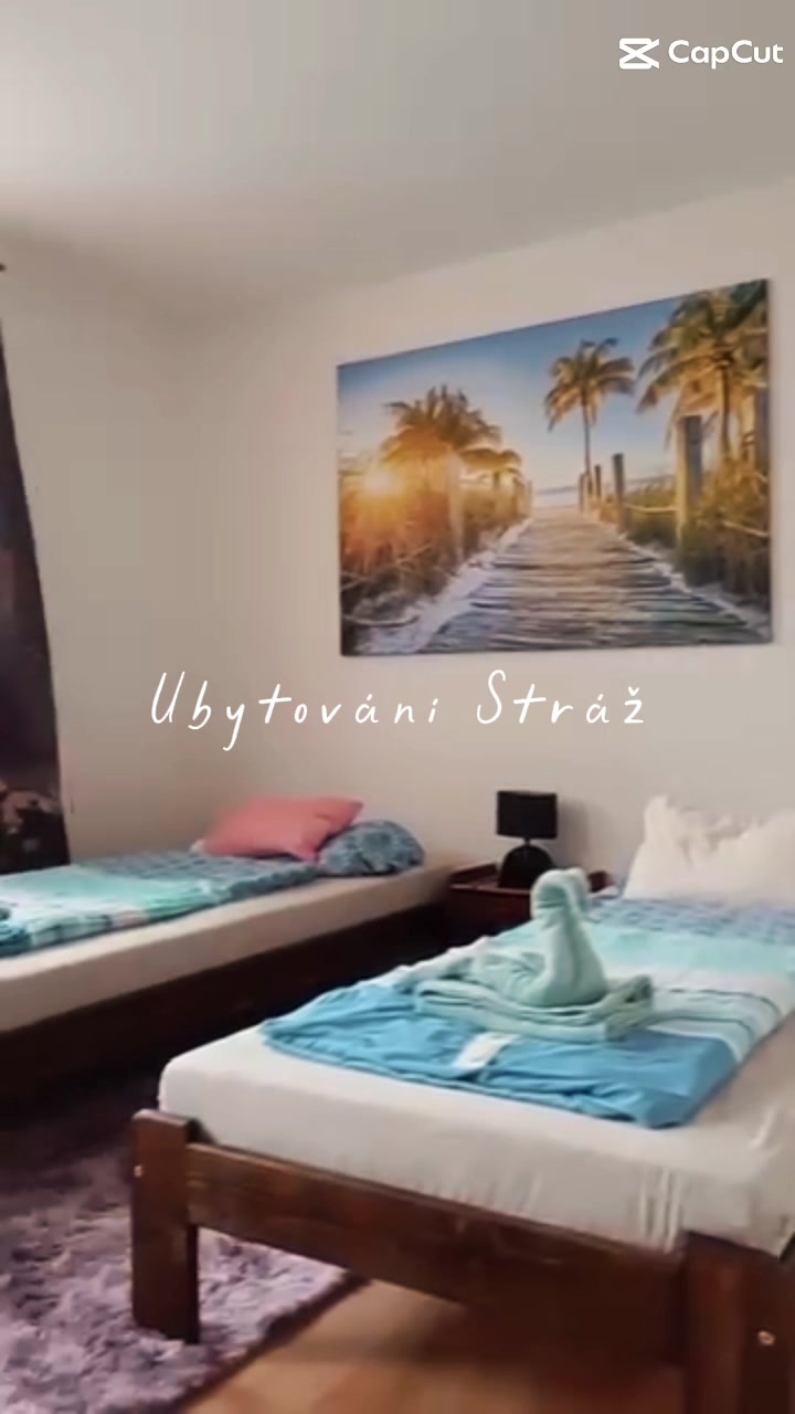 Ubytování Stráž foto 2 (náhled videa)