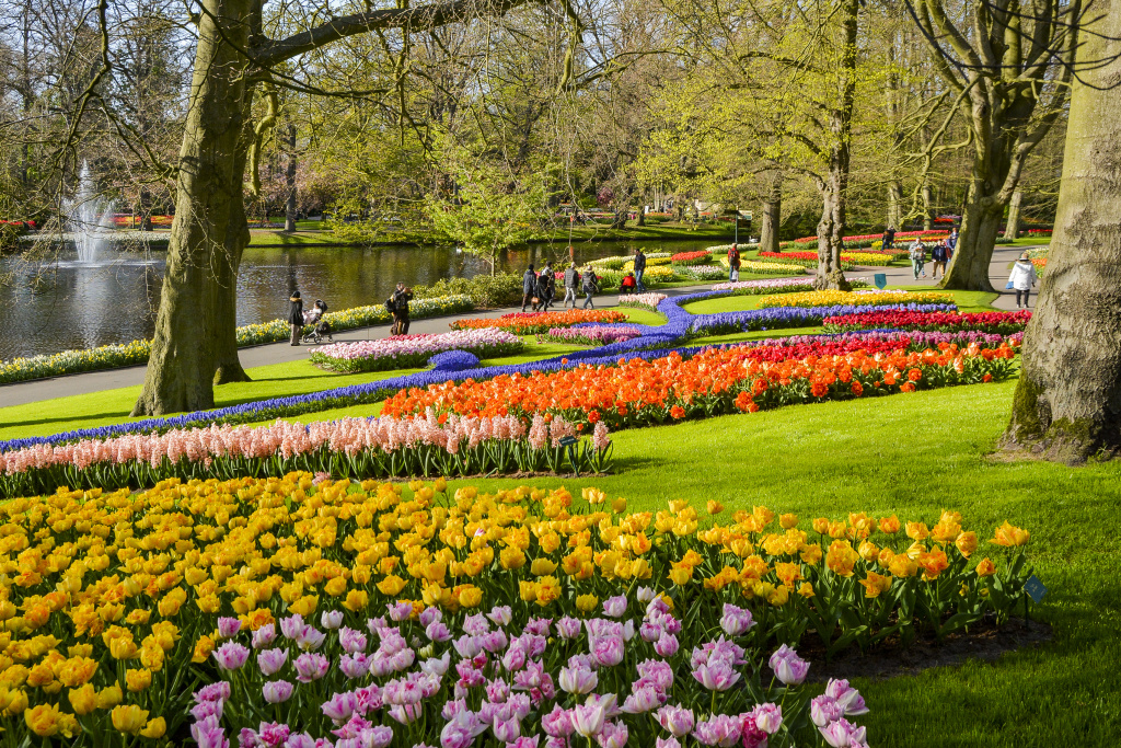 HOLANDSKO na kole a na lodi - KVĚTINOVÁ paráda