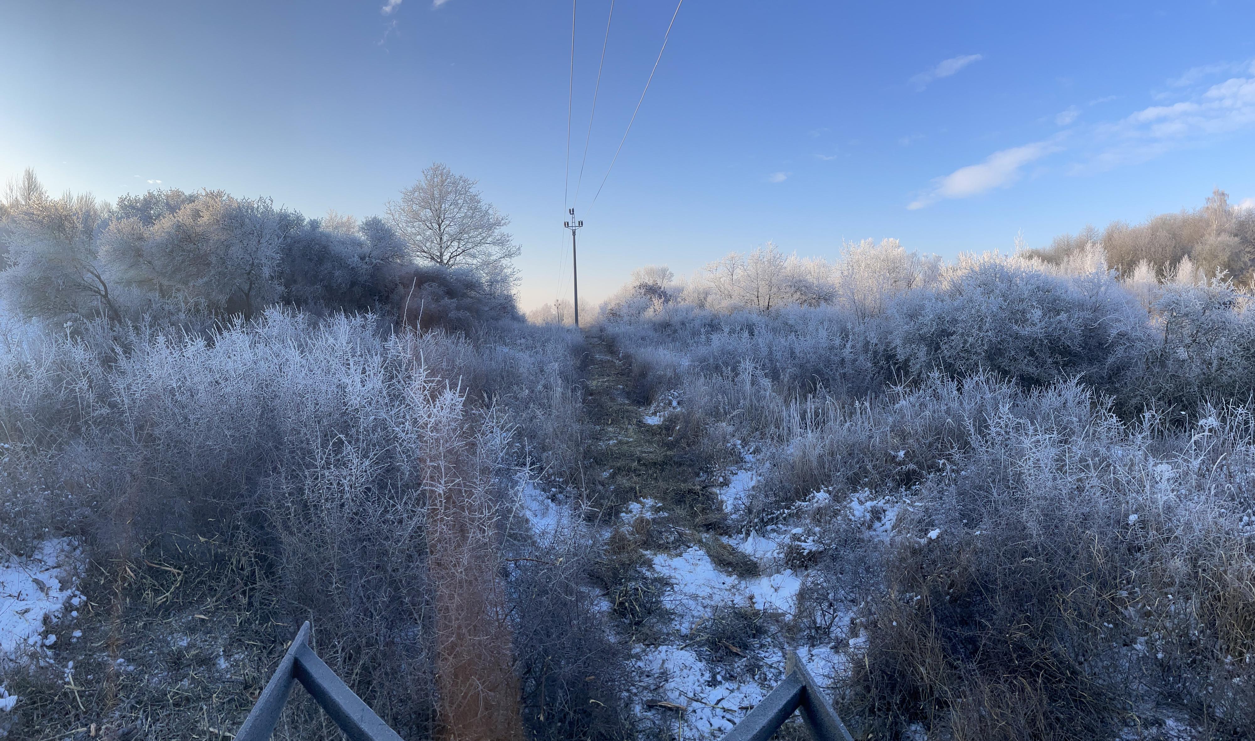 TR DREAM – Rizikové kácení a výškové práce foto 3