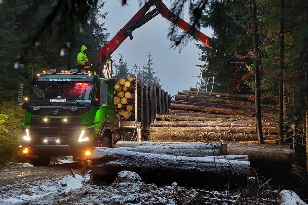 Suché palivové dřevo sklad Brandýsek / Libosváry