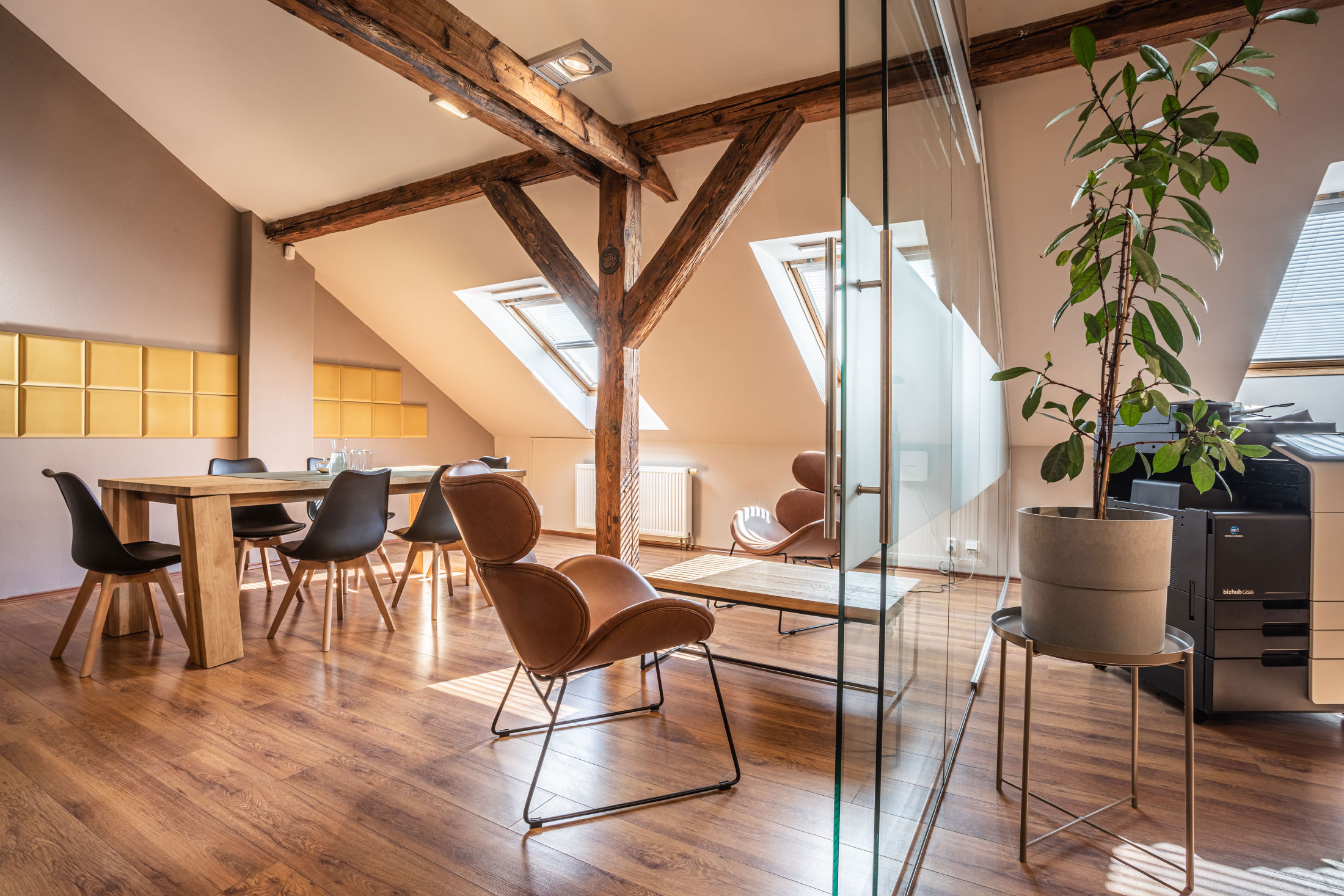 Mgr. Lucie Janíčková, advokátka foto 4