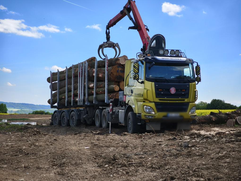 OPERA SILVATICA foto 6