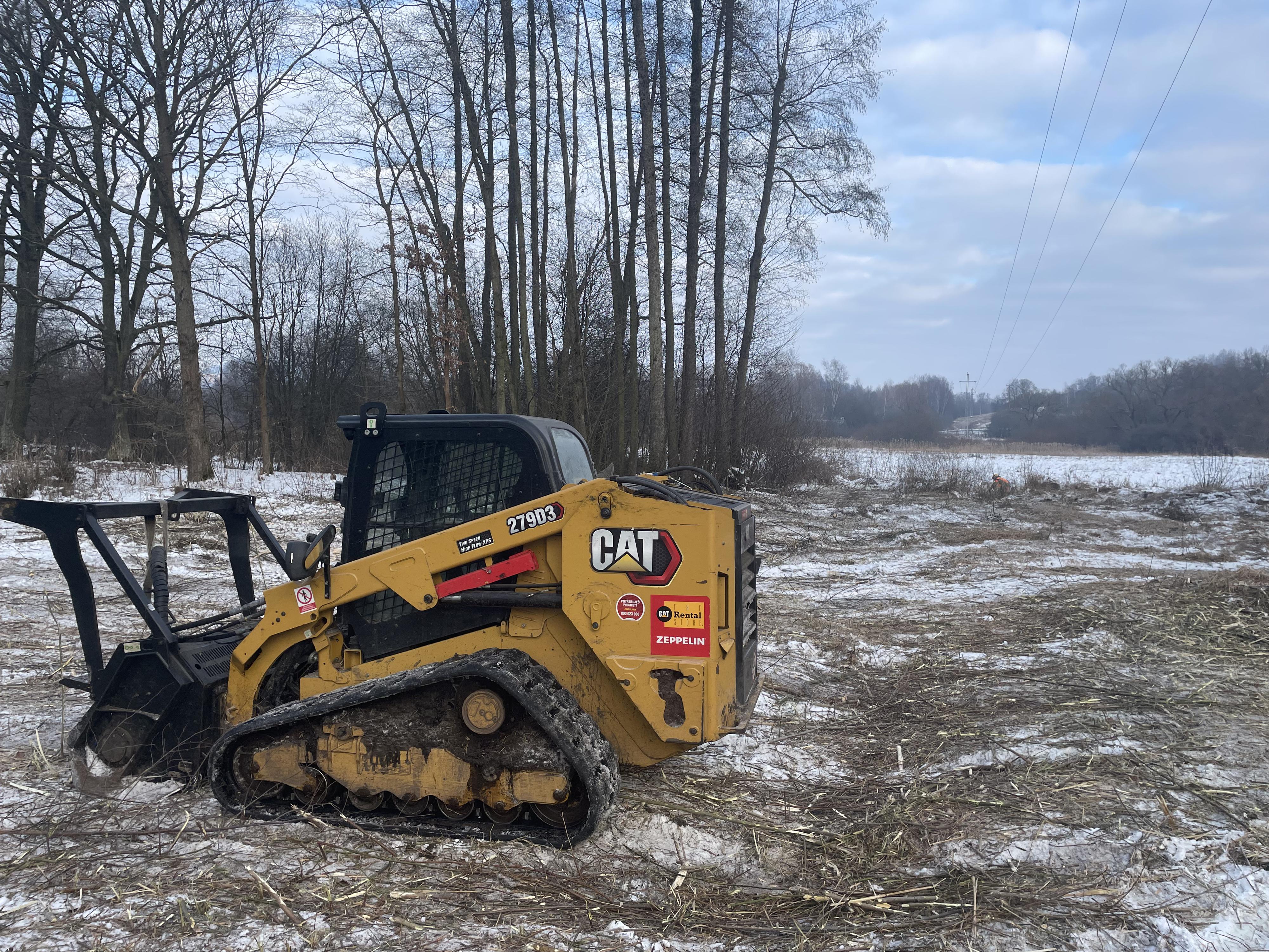 TR DREAM – Rizikové kácení a výškové práce foto 6