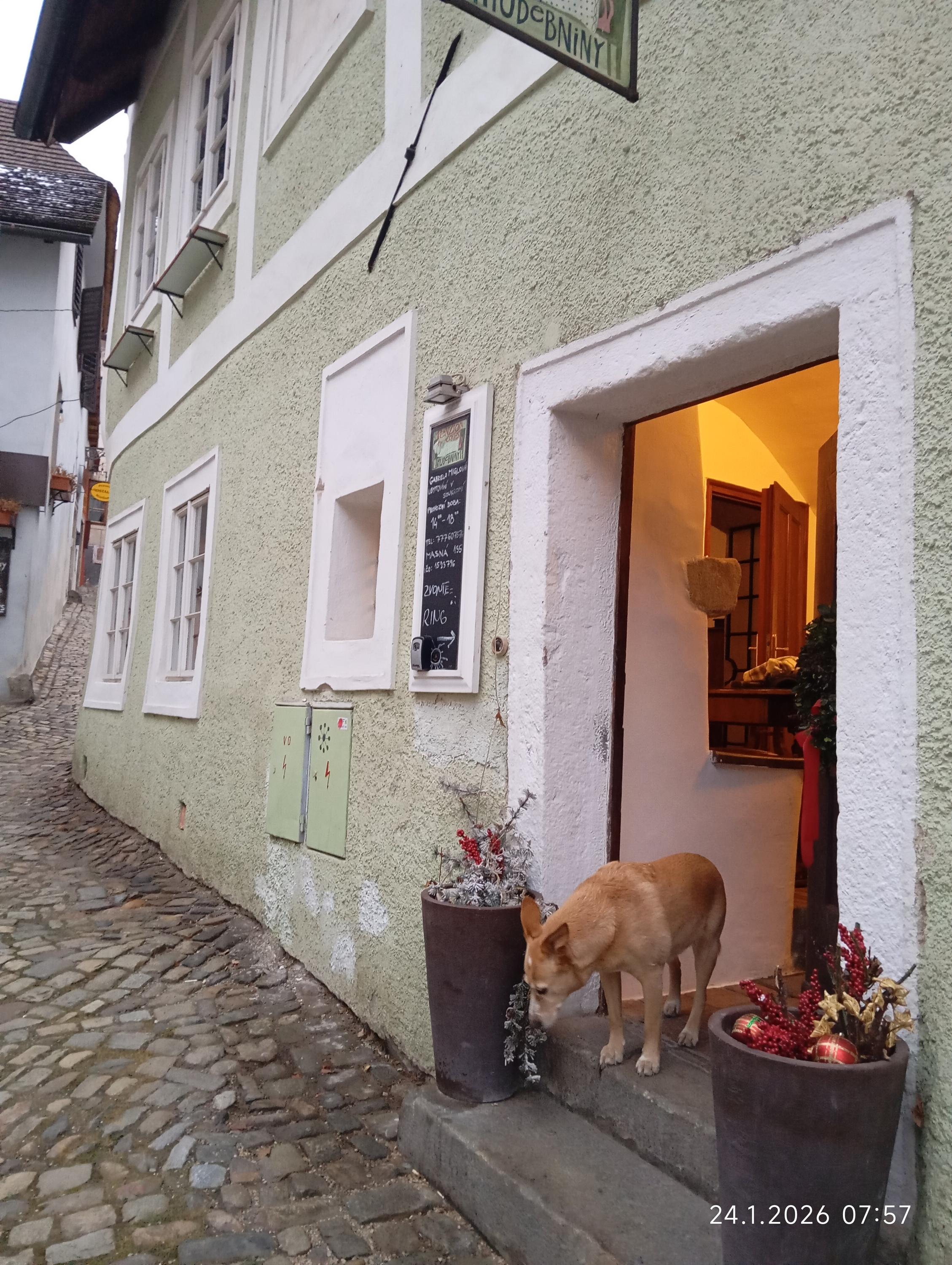 Pension Cortes foto 2