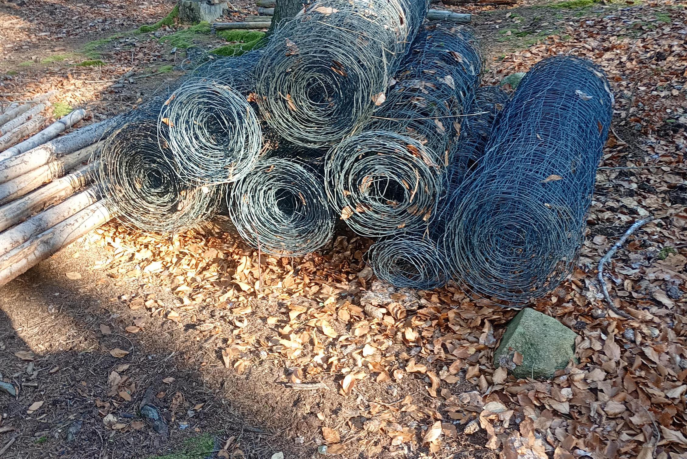 Servis oken a Pěstební činnost Pavel Bohm
