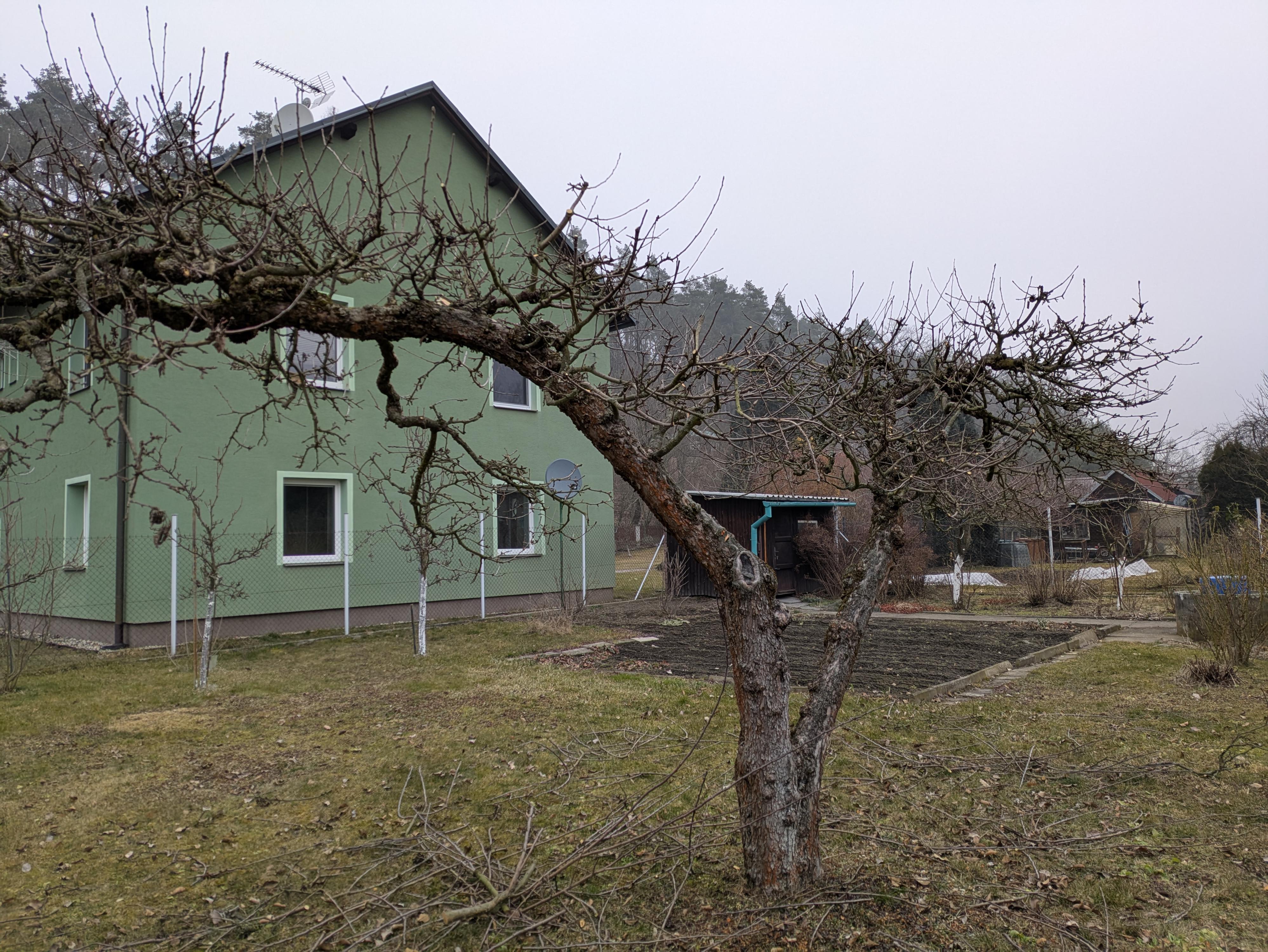 Rodinný sadař - Bc. Tomáš Marek foto 3