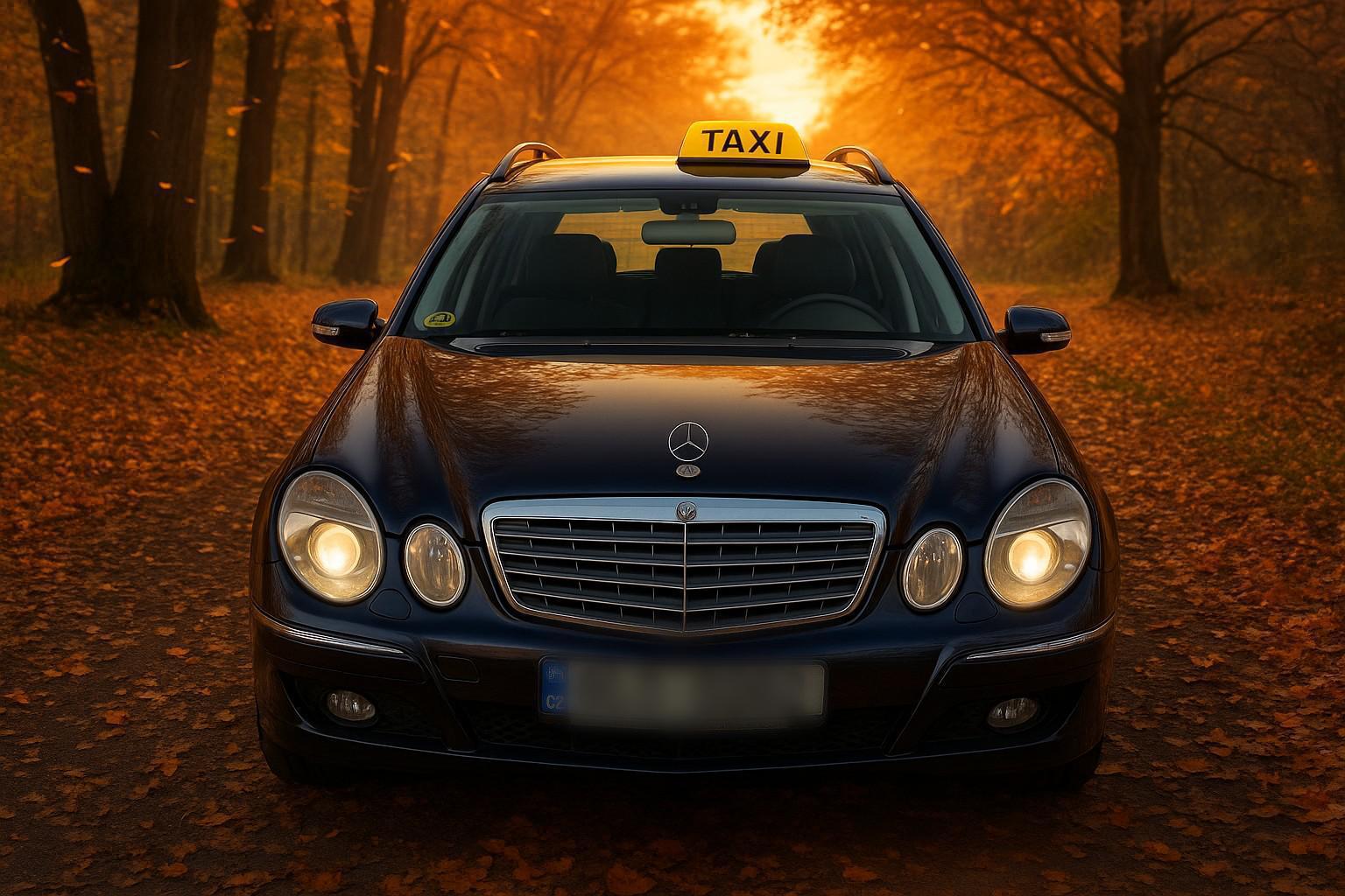 Martin Taxi foto 6
