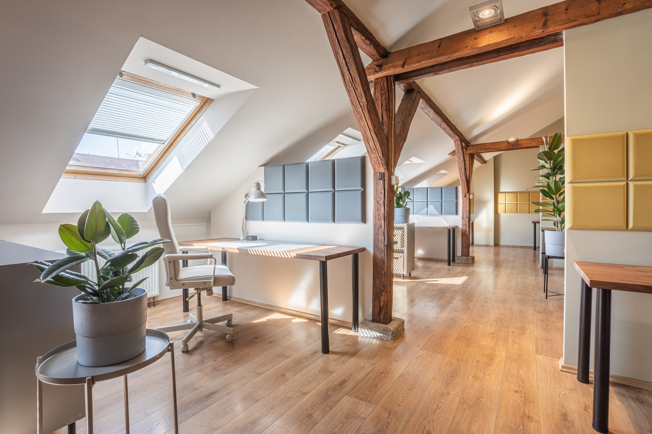 Mgr. Lucie Janíčková, advokátka foto 3