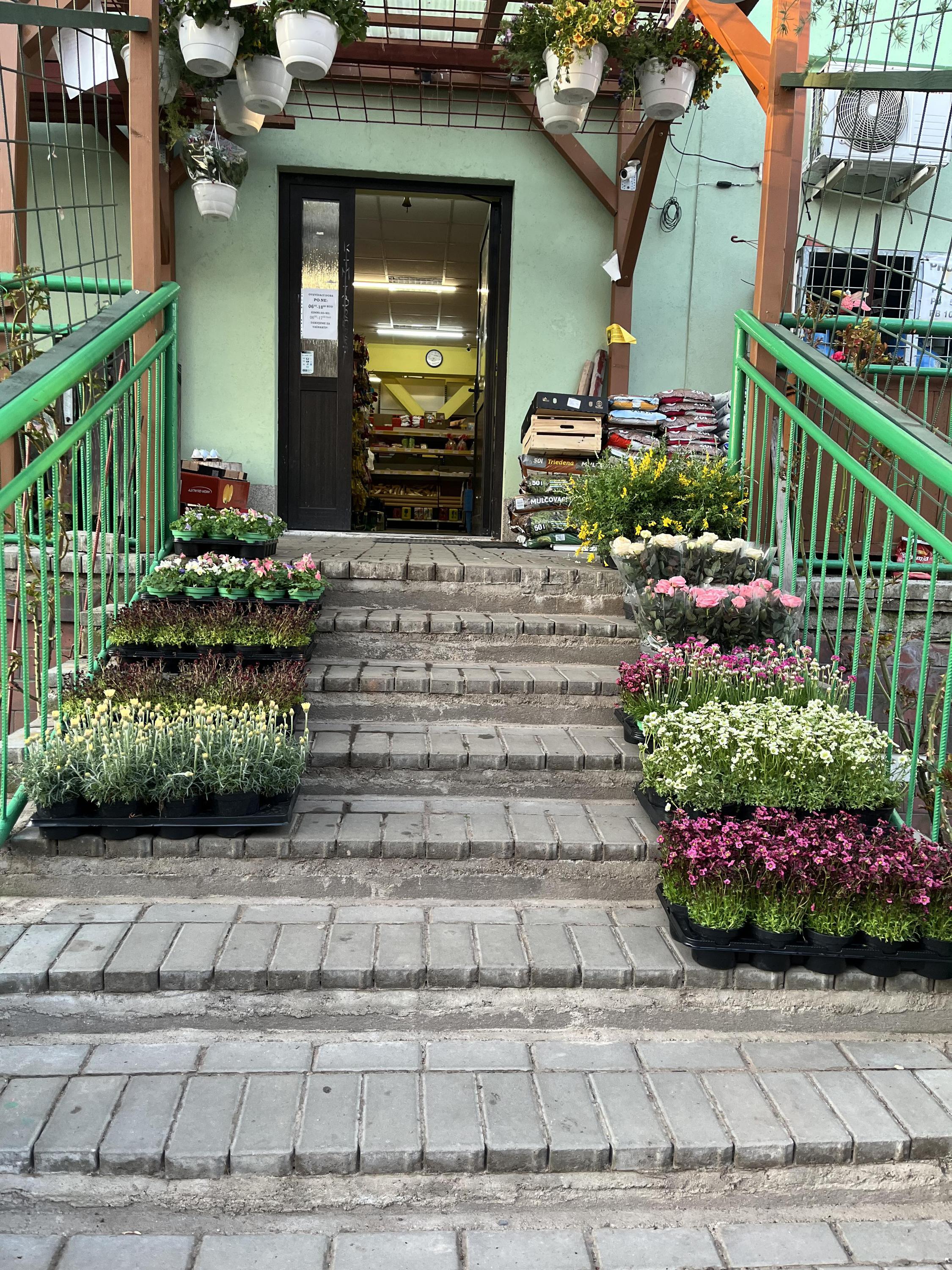 Potraviny Domoušice foto 1