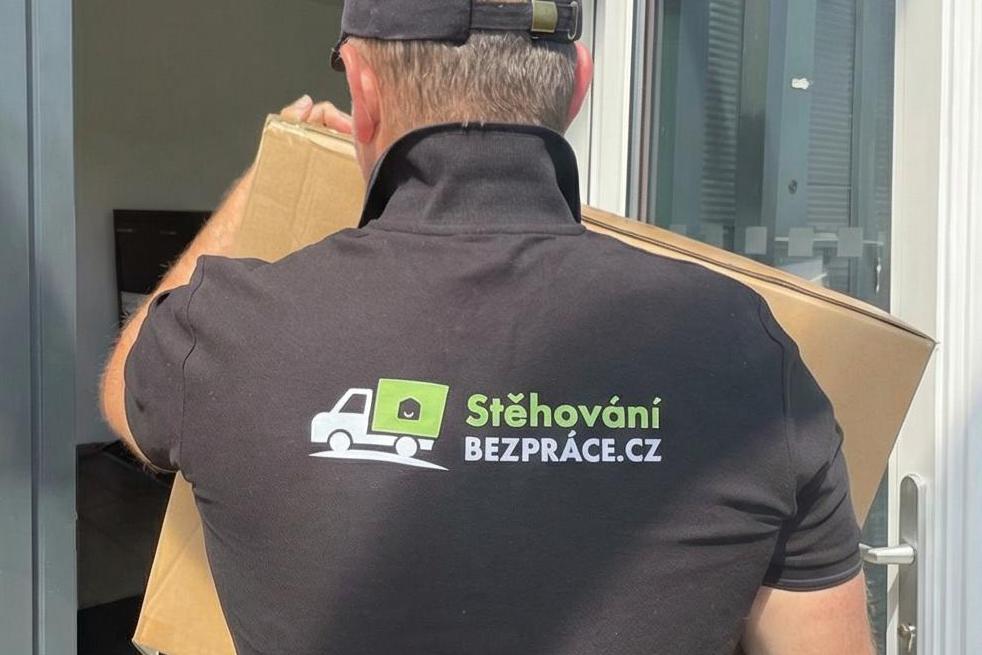 Stěhování domácností