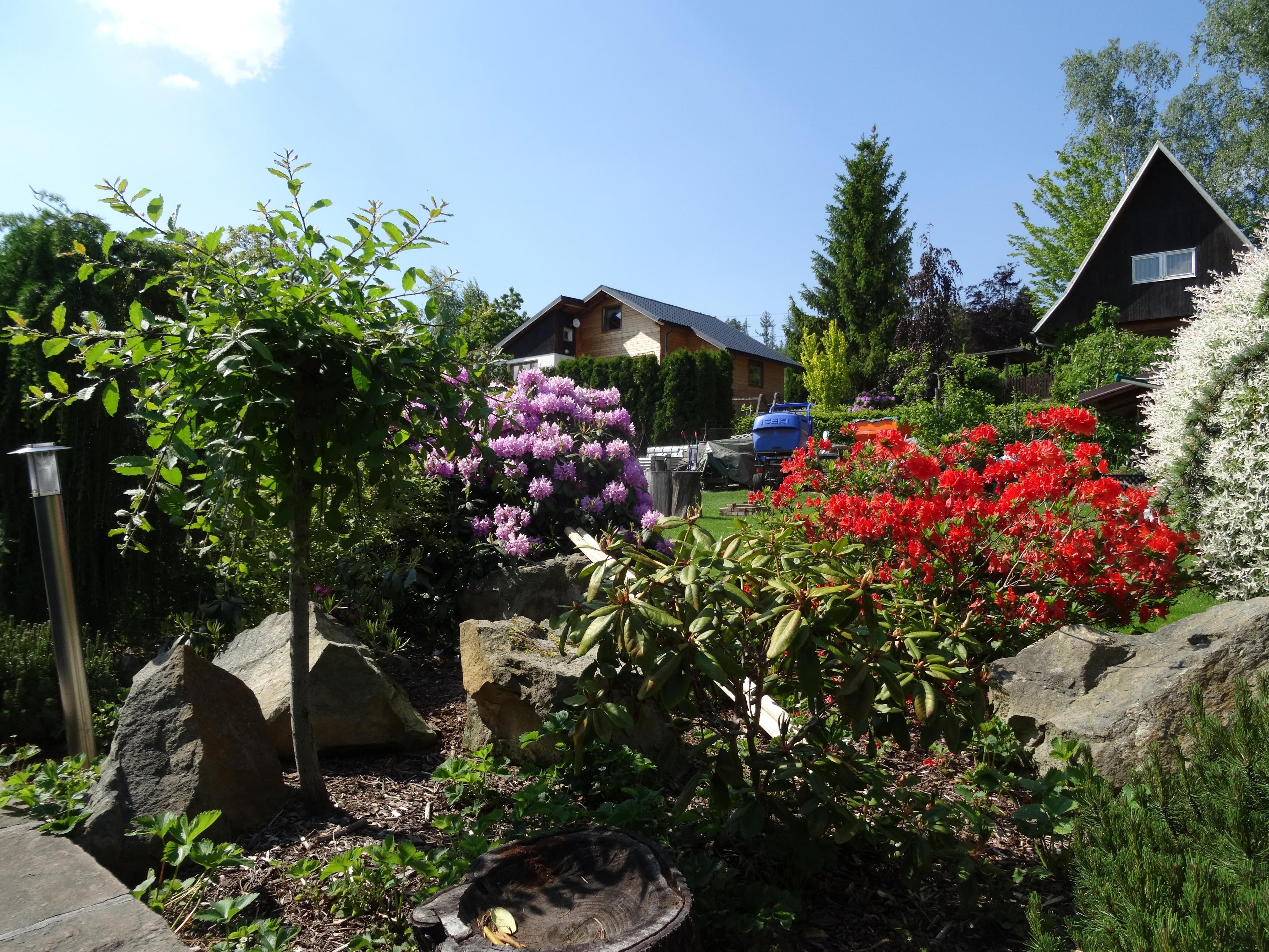 Ing. Jaroslav Míček - Persika foto 3