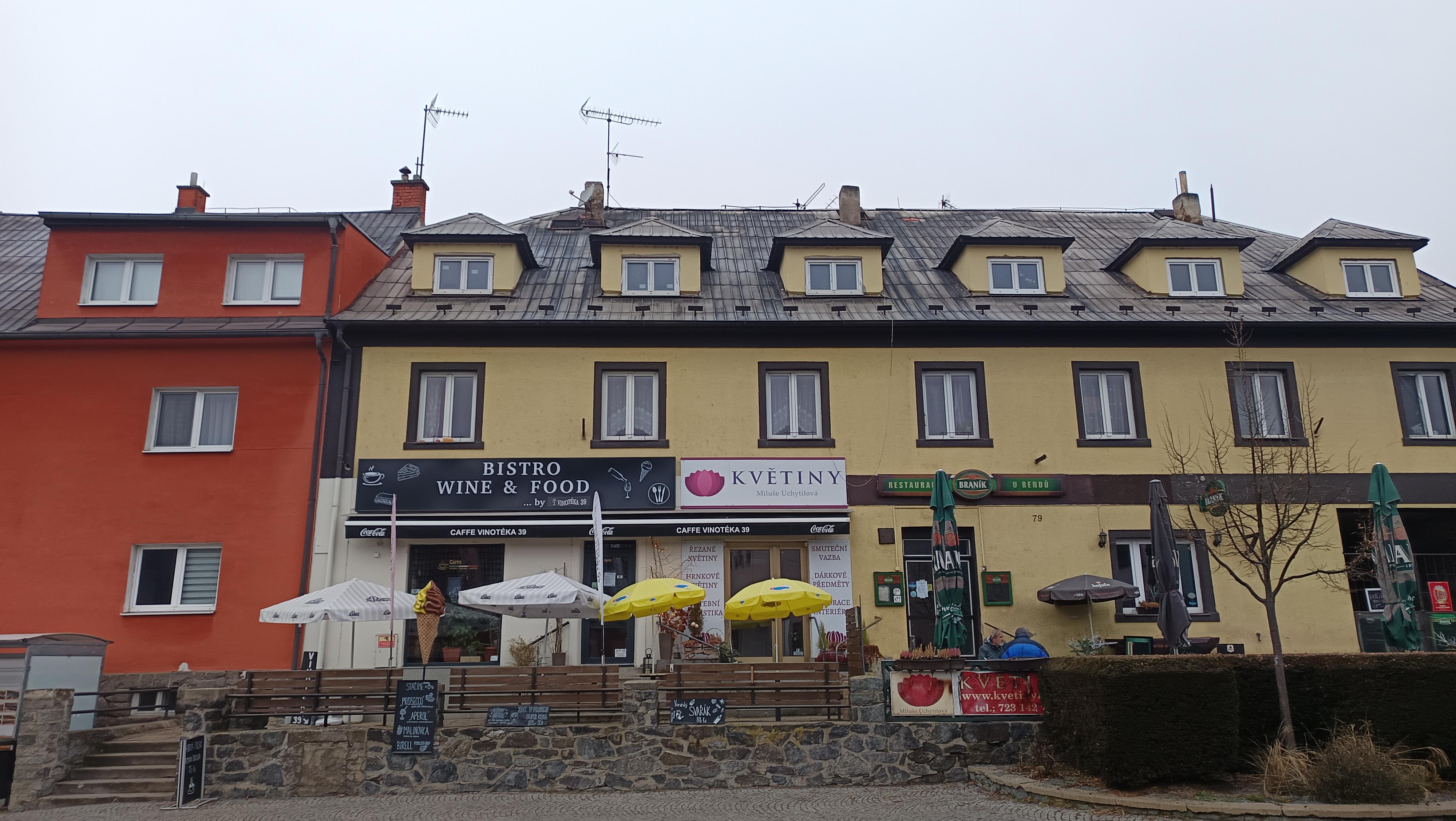 Květiny - Miluše Švédová