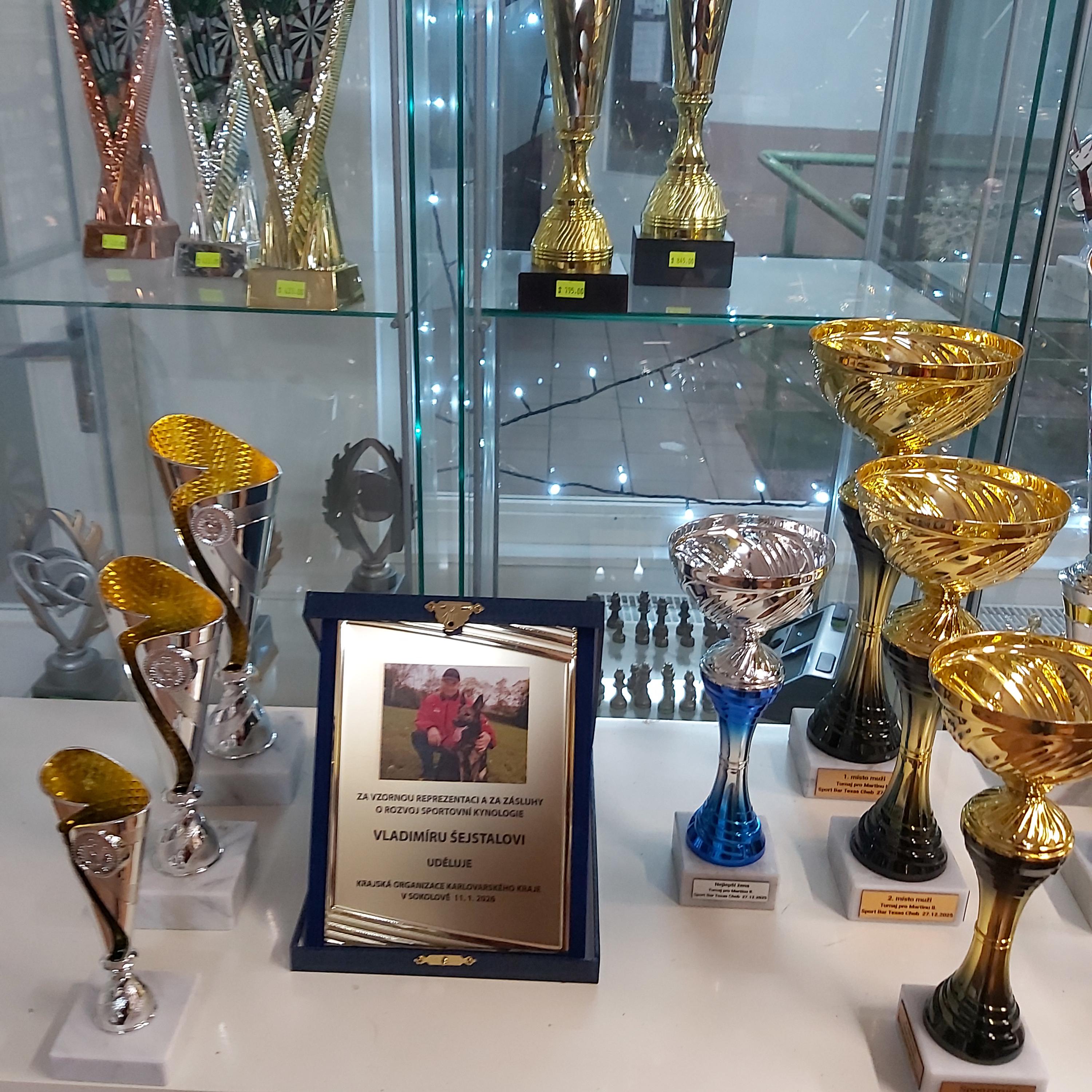 Sportovní trofeje Pavel Růžička foto 4