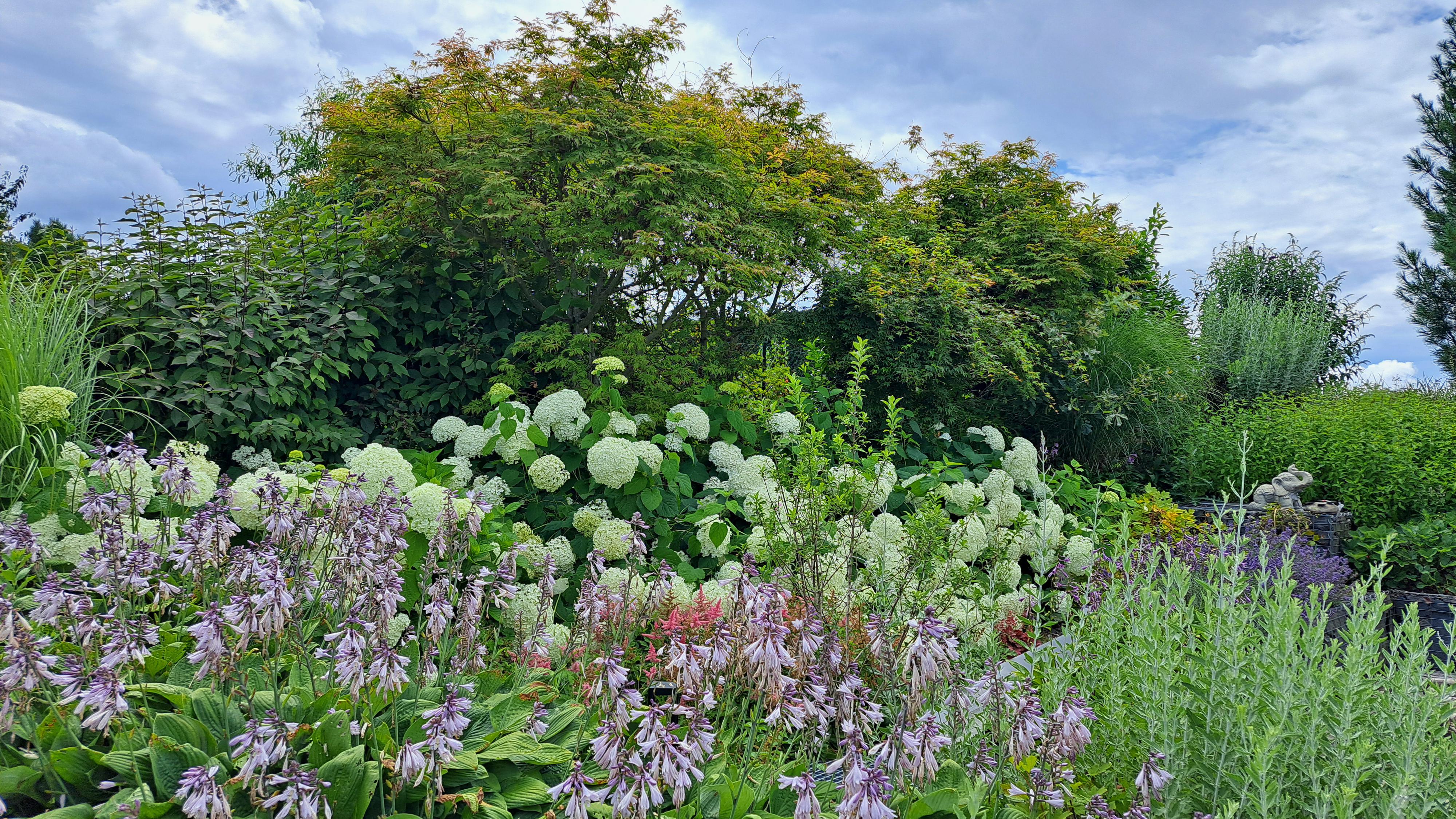 Brennero garden services, s.r.o. foto 3