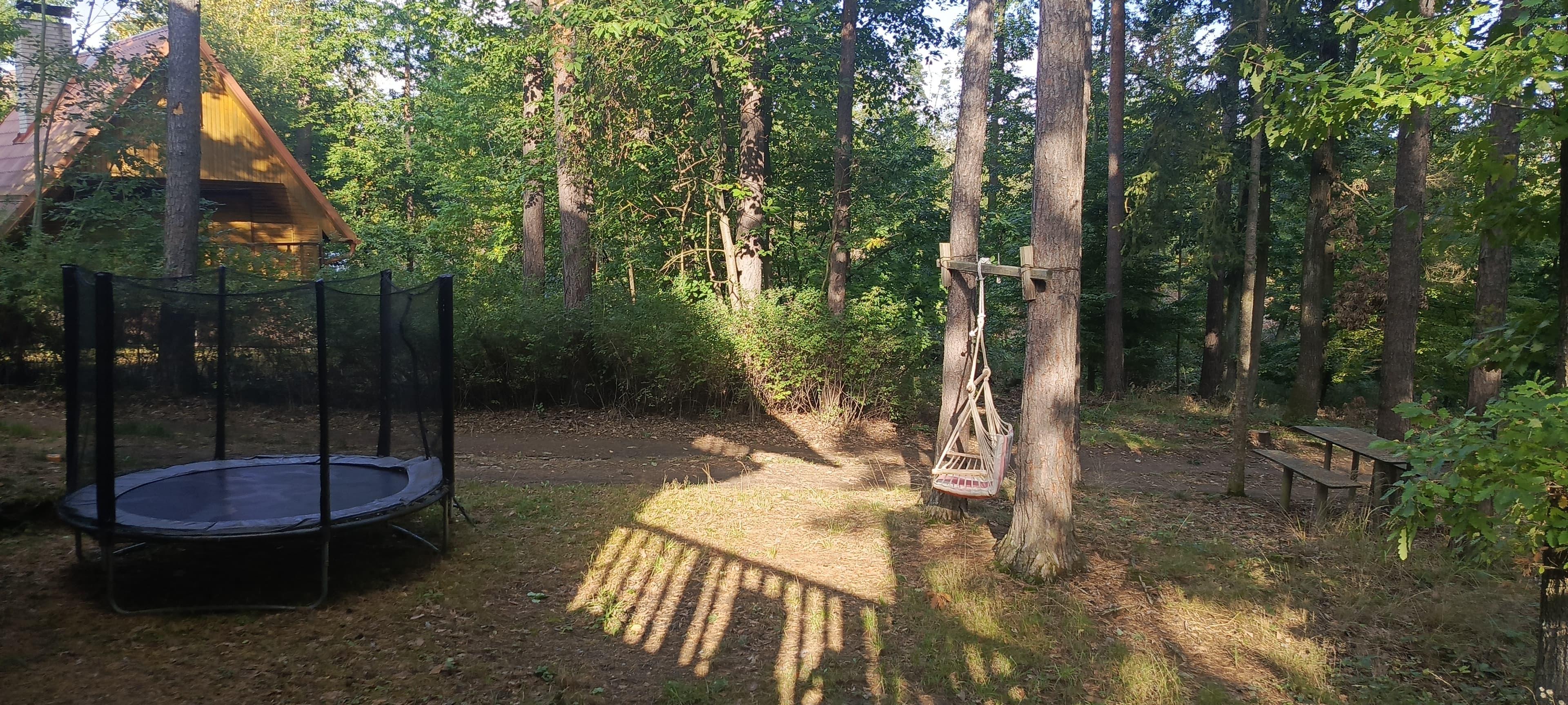 Lesní hnízdo Dalešice foto 4