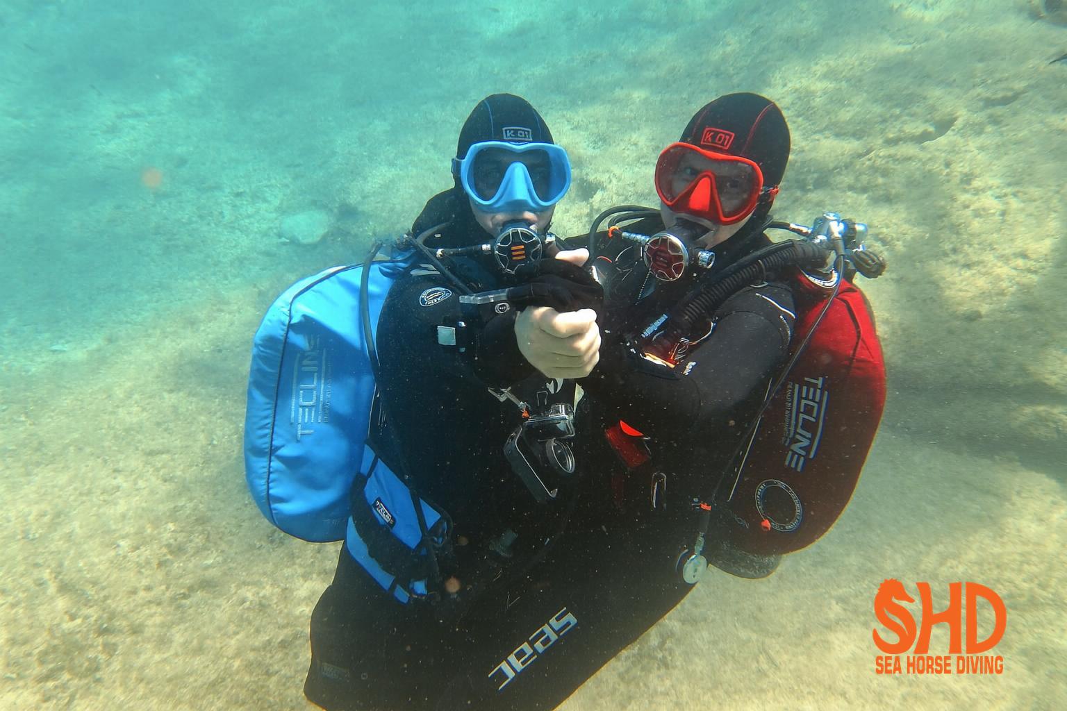 Sea Horse Diving foto 2