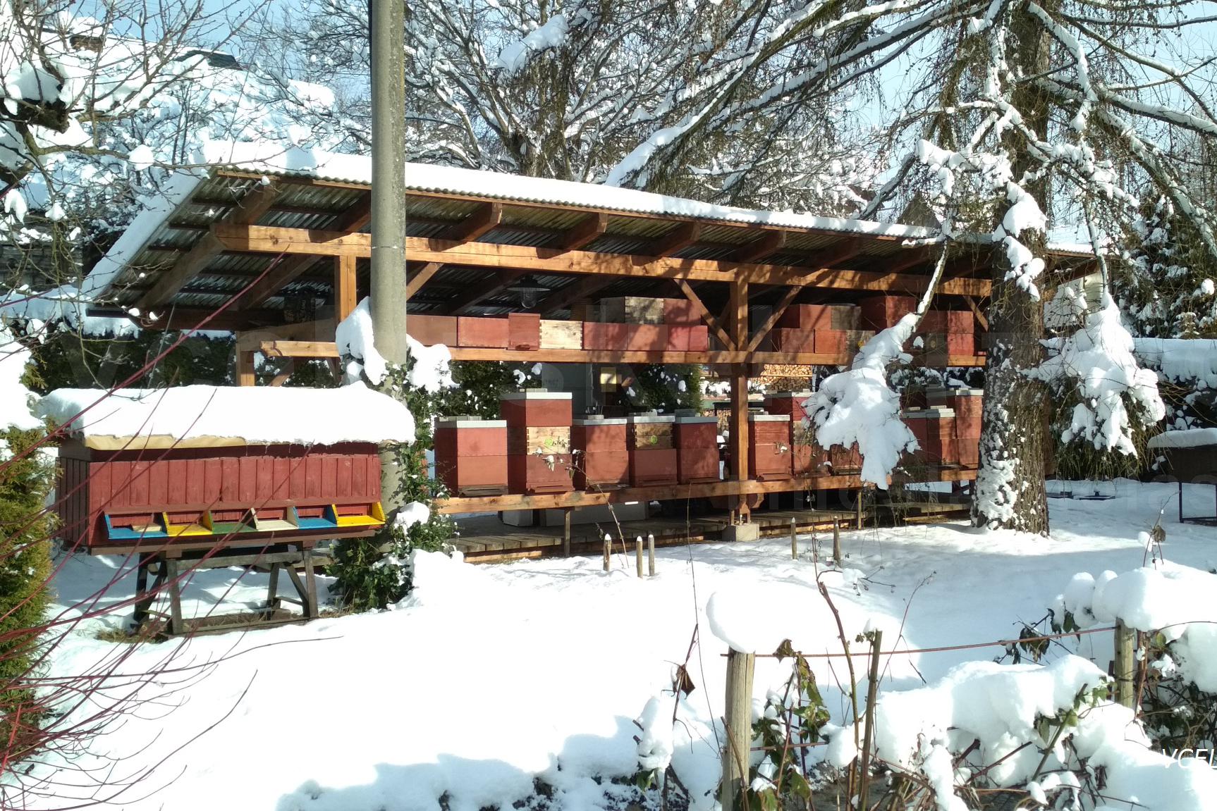 Včelařské kurzy, včelařství - Miloslav Holas