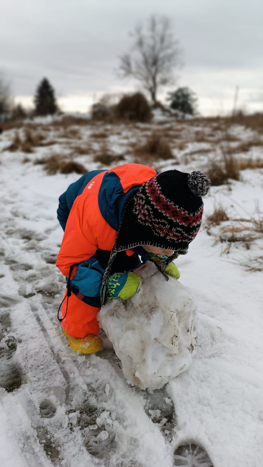 Montessori školička Na Větvi foto 3