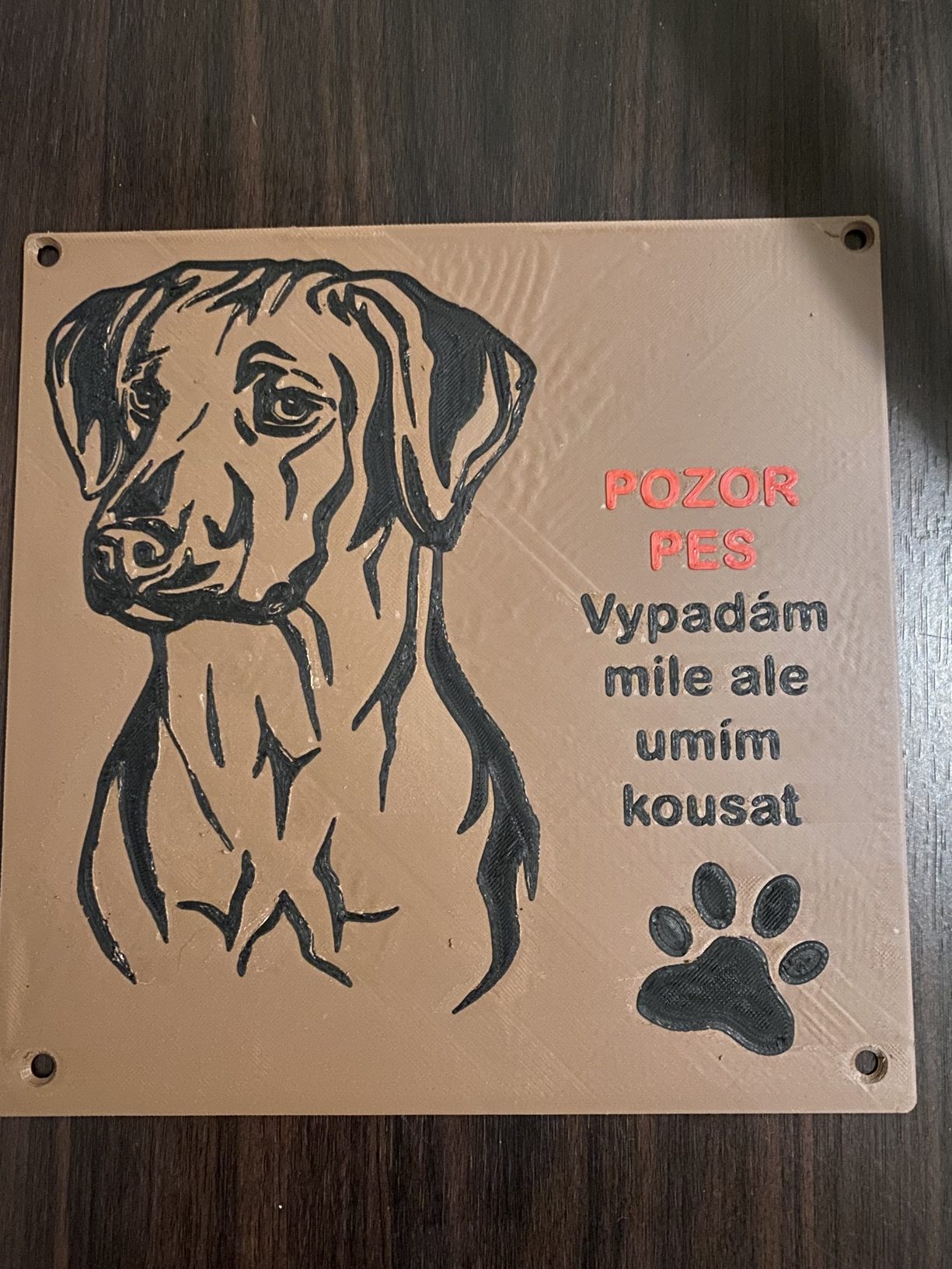 Ultra 3D tisk foto 6