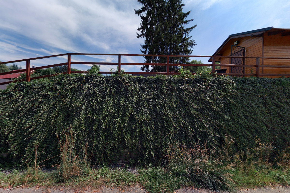 Lyžařská škola svišťů