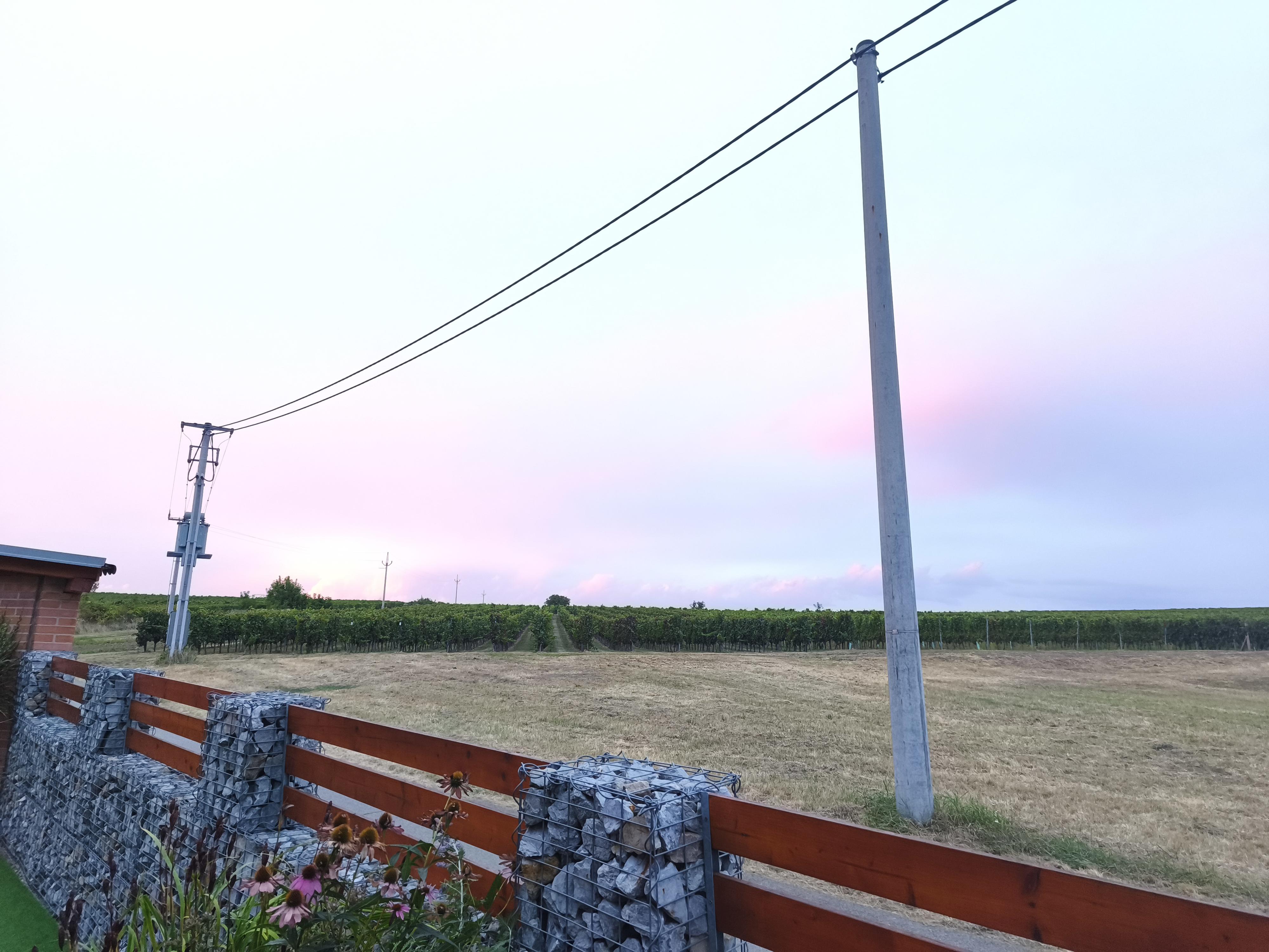 Vinařský penzion Přední Hora - vinný sklep foto 4