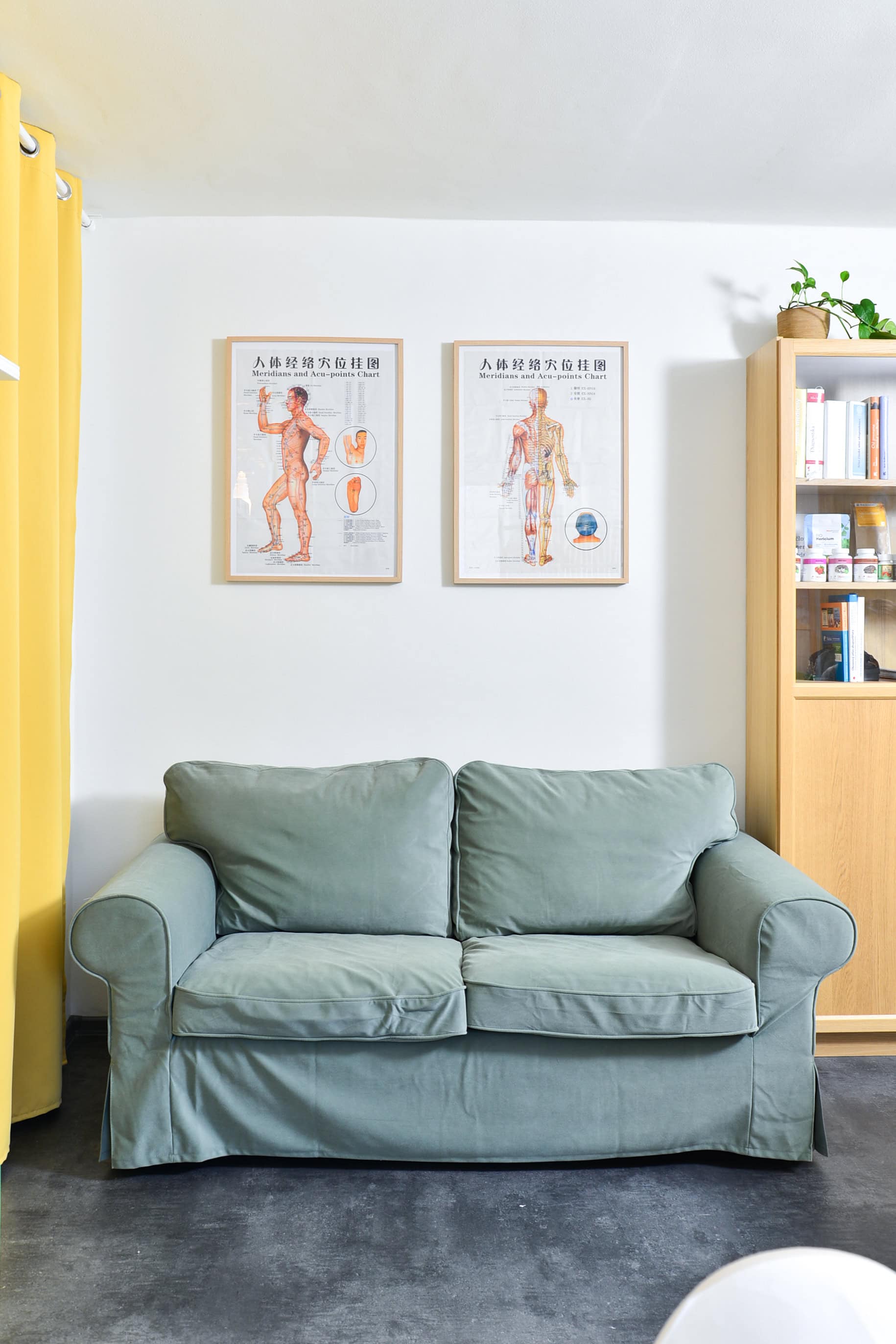 Monáda zdraví | Tradiční čínská medicína foto 4